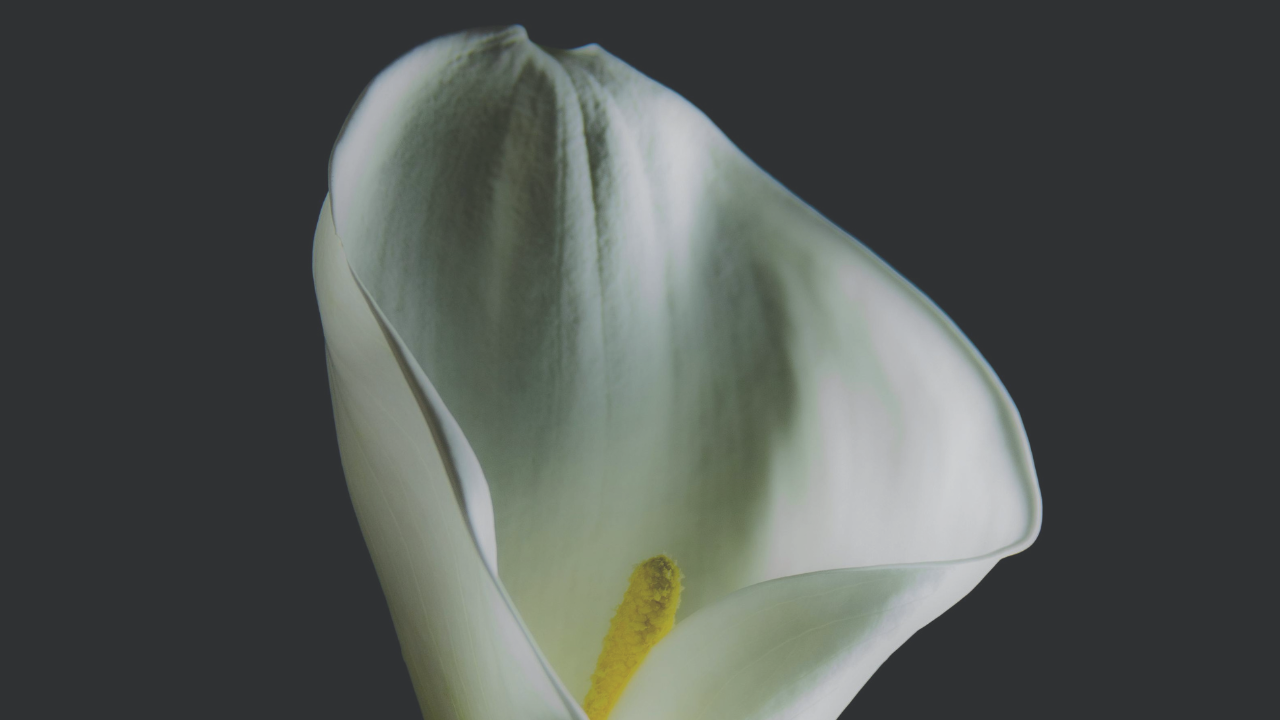 Perunkirjoitus. Mikä on perunkirjoitus ja miksi se on tärkeä tehdä oikein?