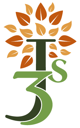 3JS