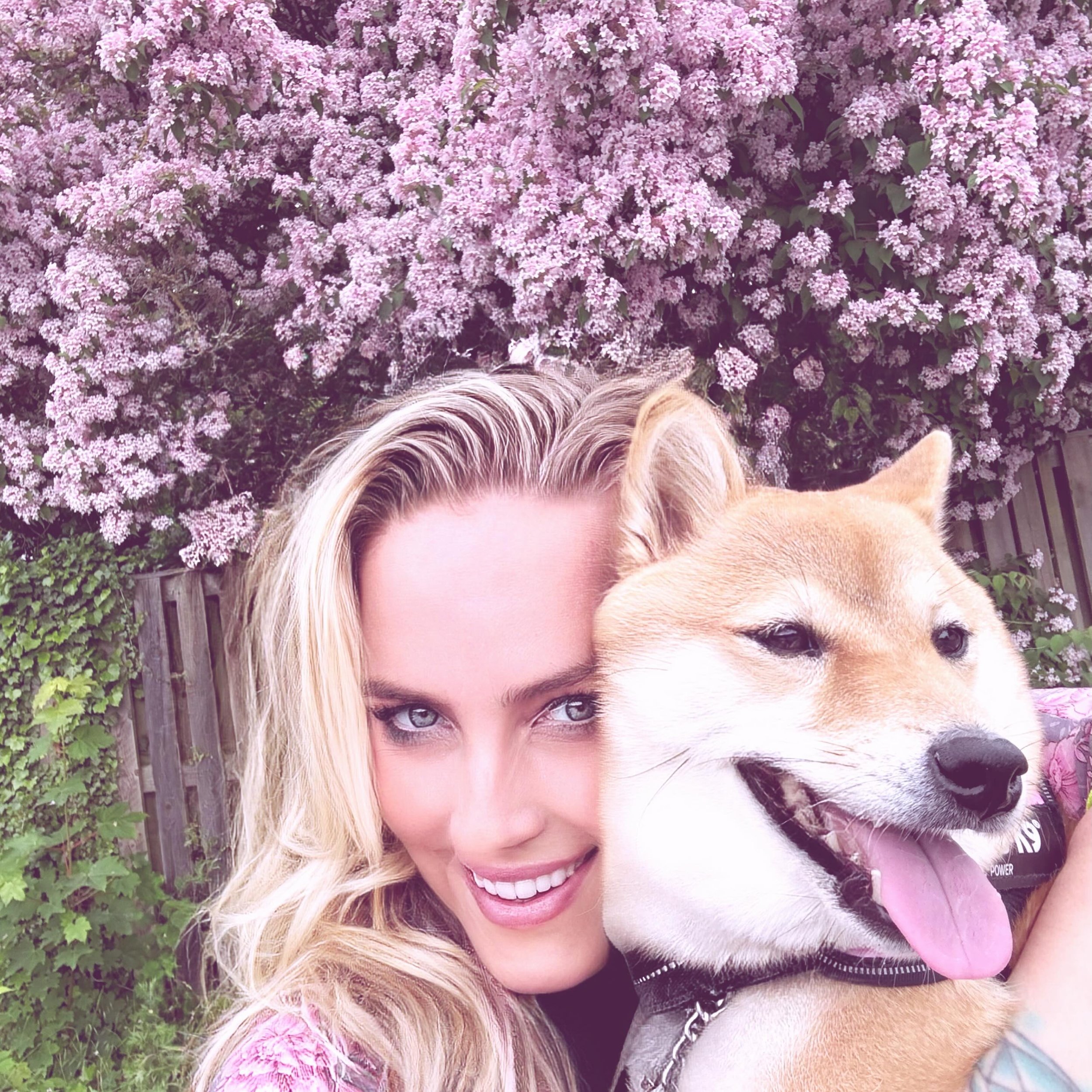 Min Hjerteengel 💗🐾🌸