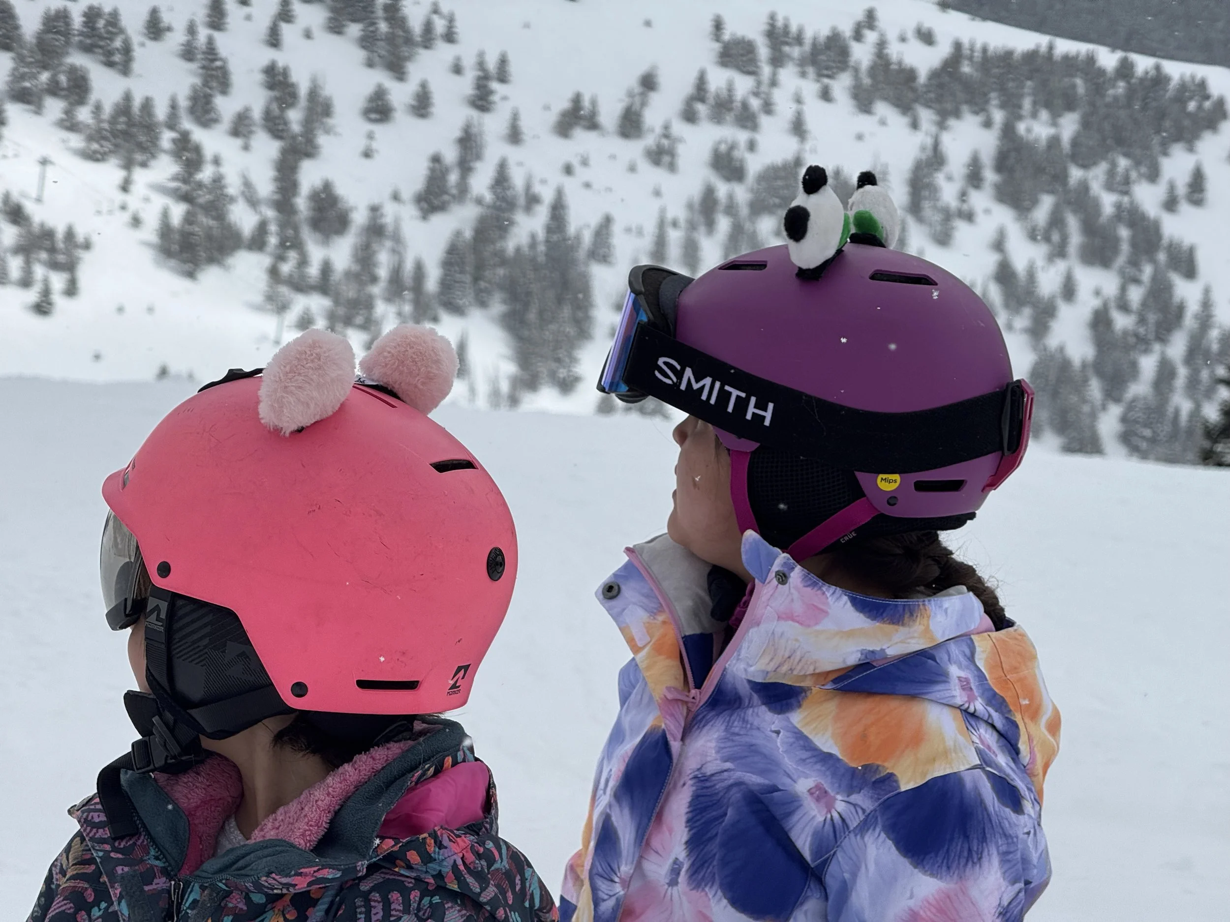 Two children wearing pink and purple ski helmets with cute plush animal helmet ear decorations, dressed in winter jackets, standing in snowy Colorado landscape