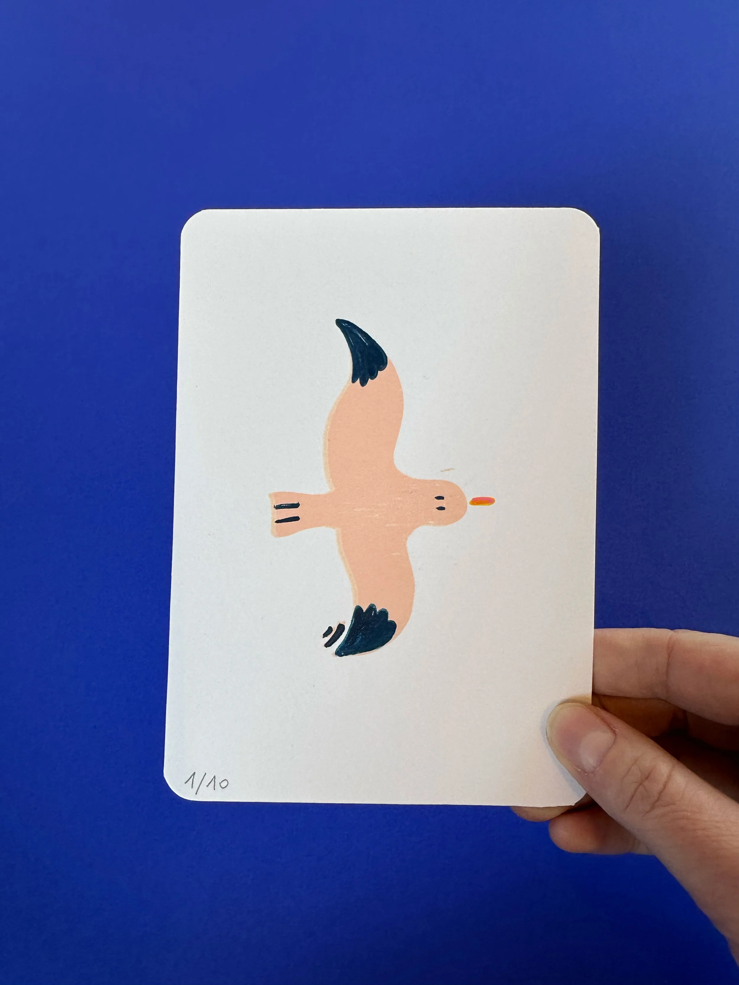 carte-postale-oiseau2.jpg