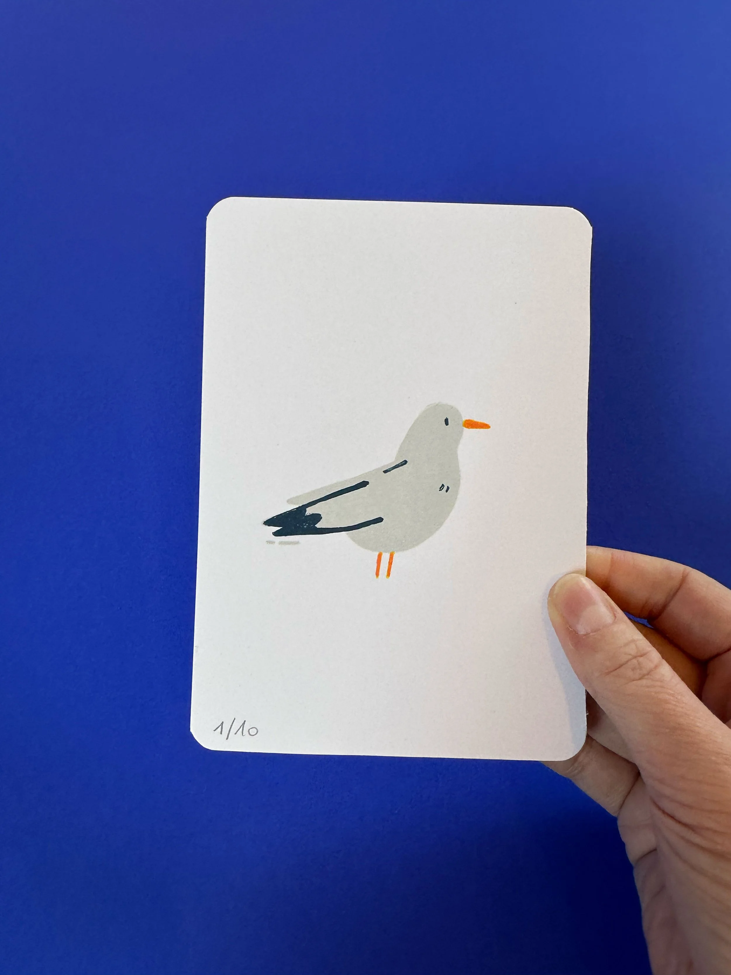 Carte postale A6 - sérigraphie oiseau