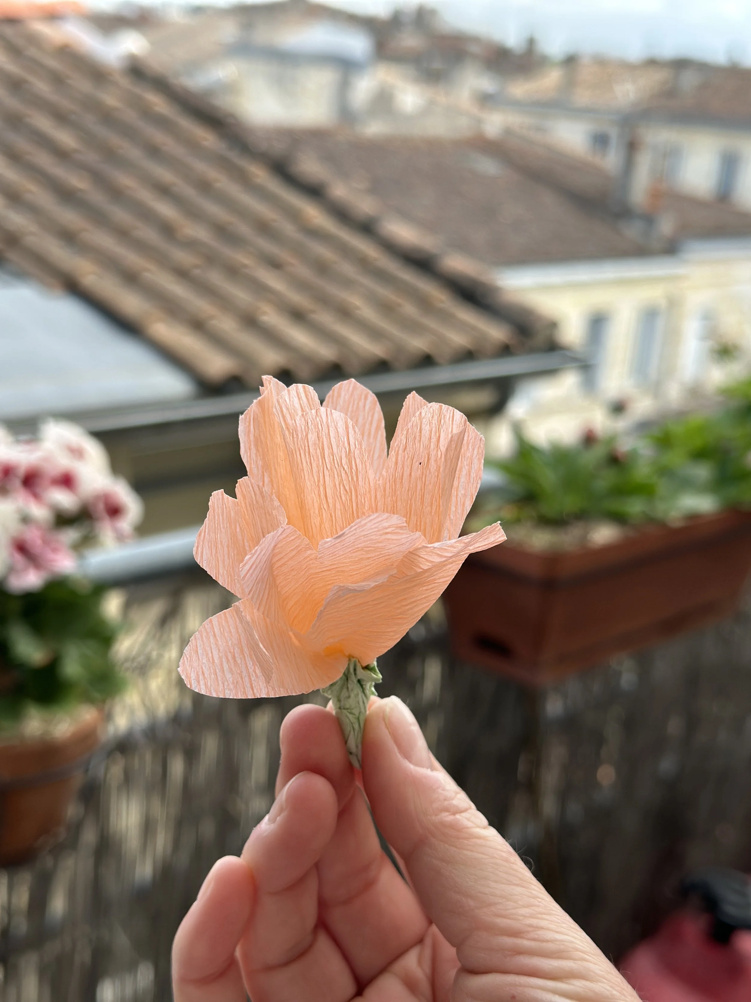 IMG_2835.JPG