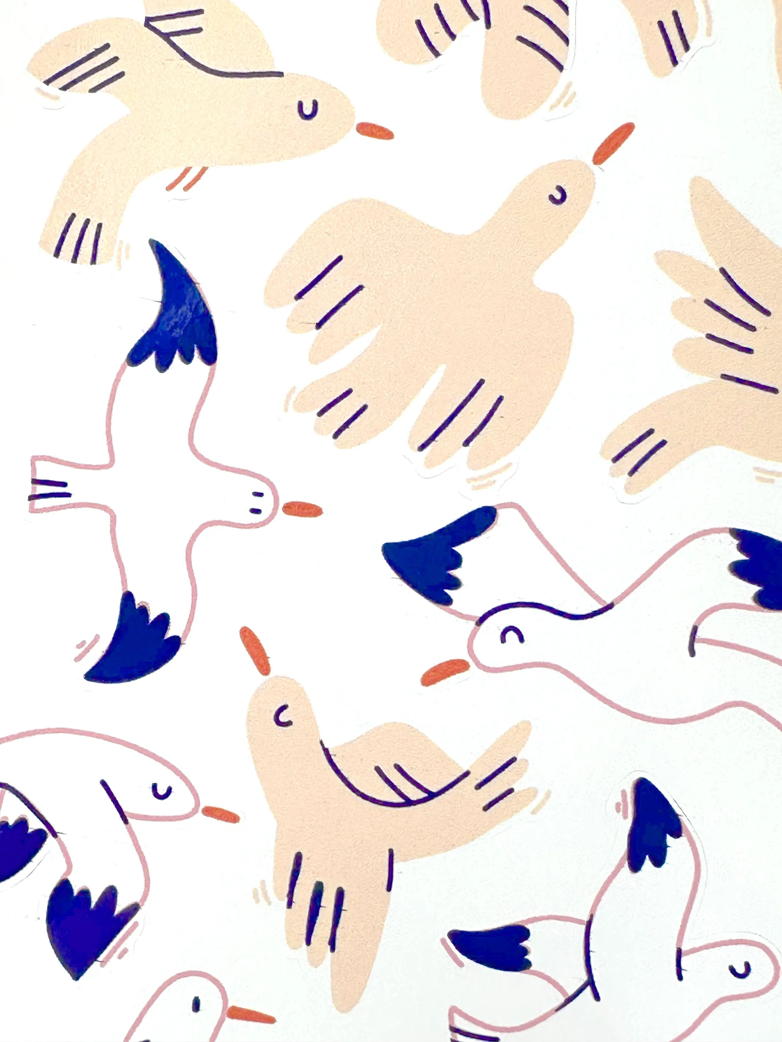 stickers-oiseaux2.jpg