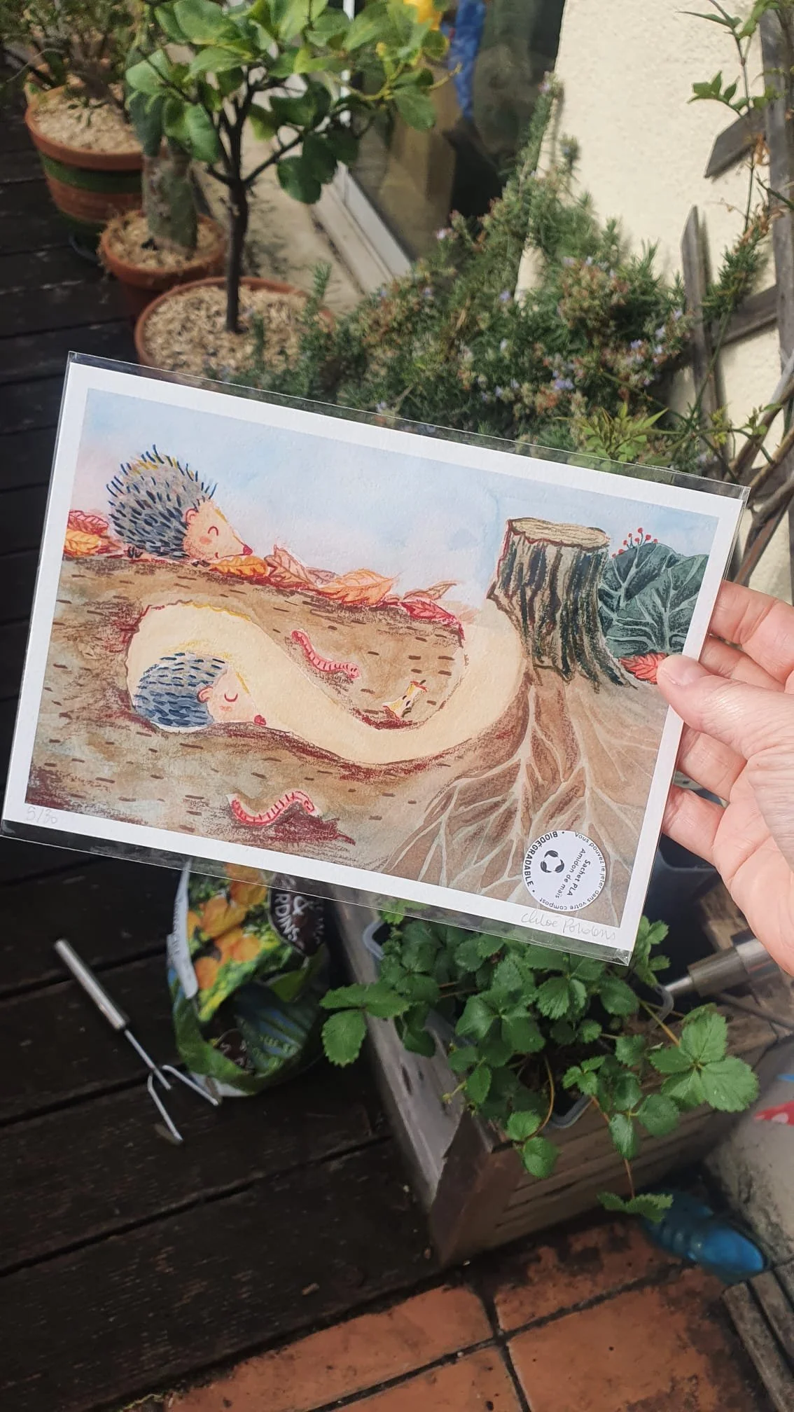 Print hérissons - A5