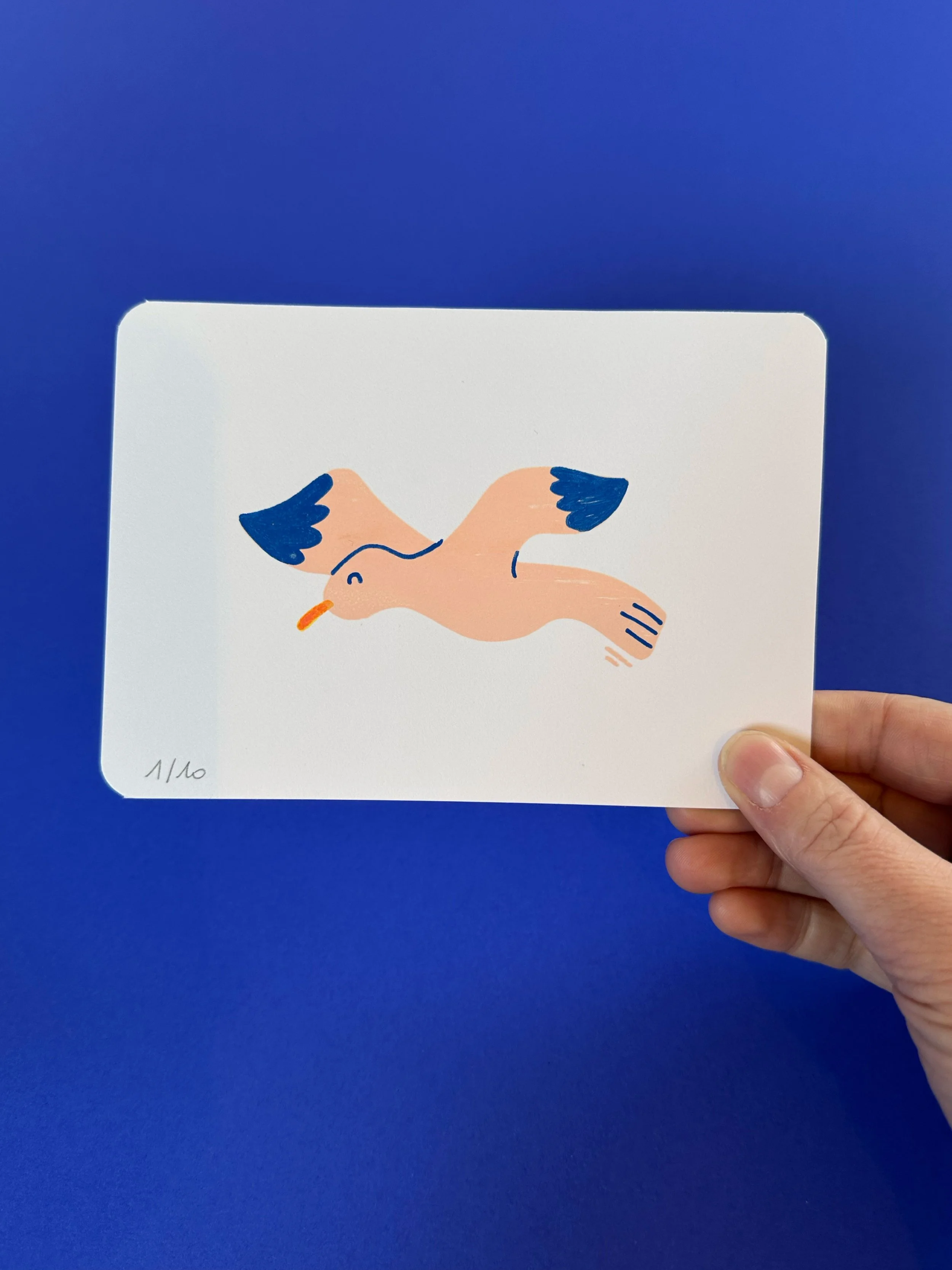 carte-postale-oiseau3.jpg