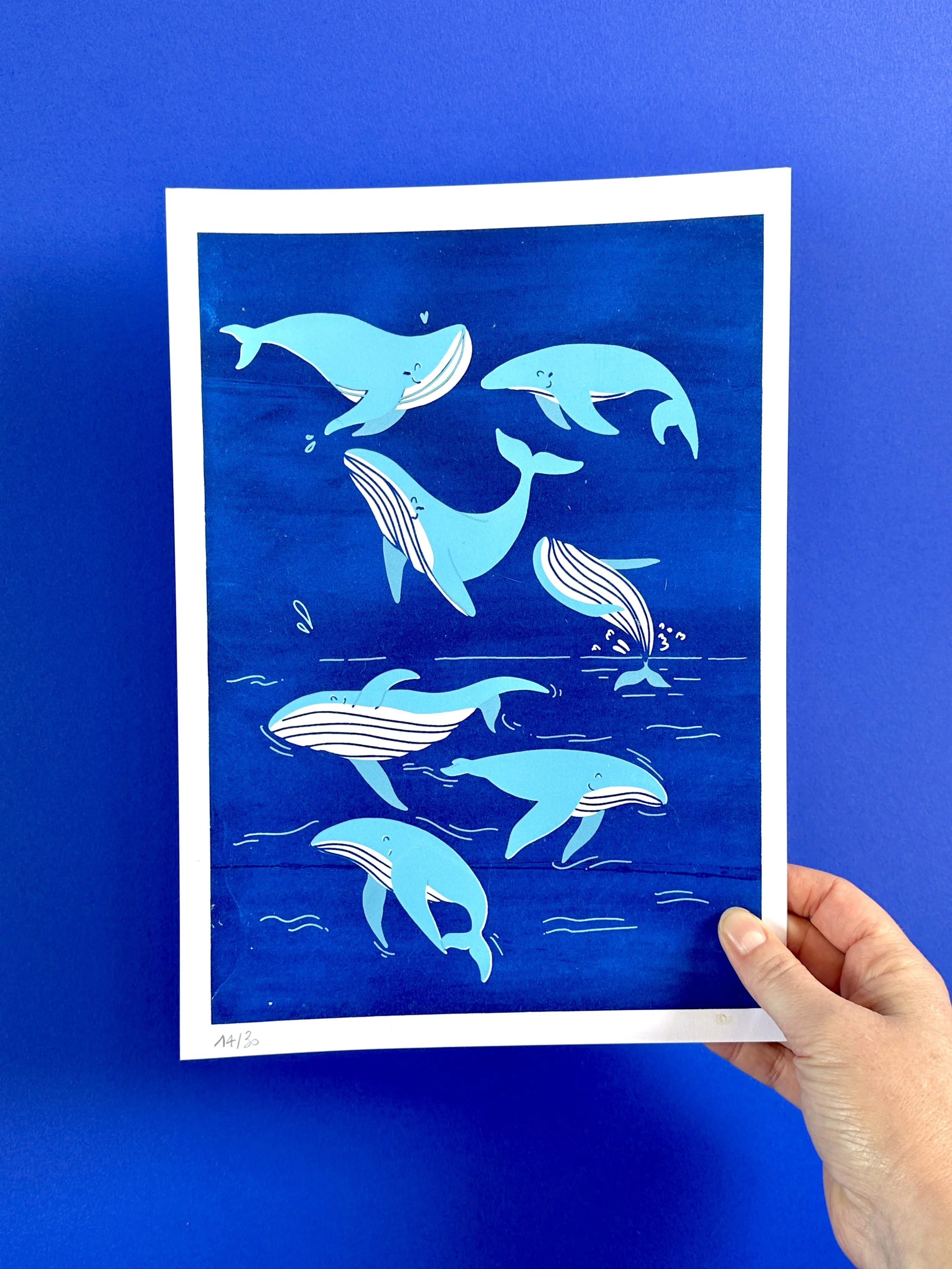 Affiche Sérigraphie Baleines