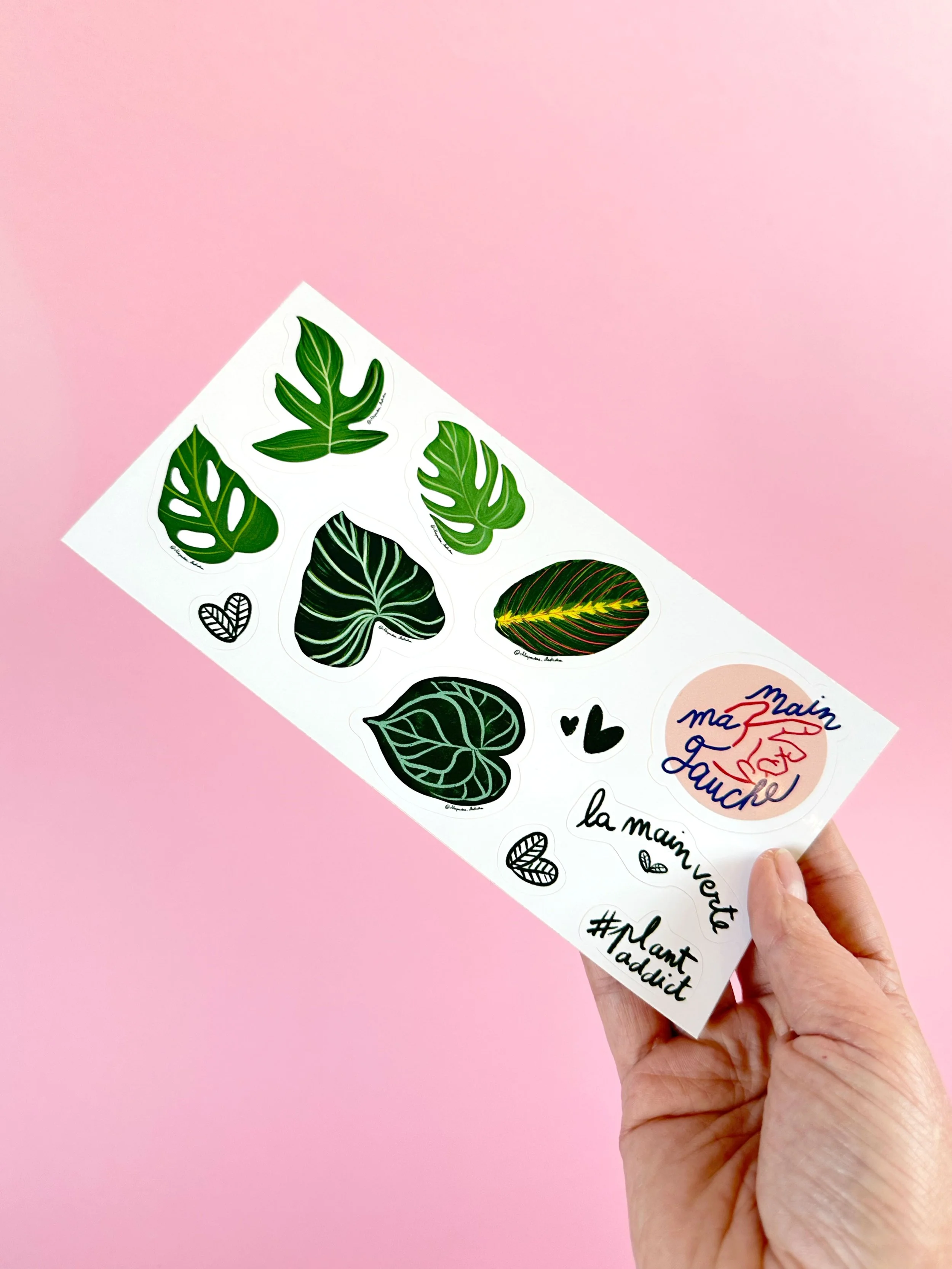 stickers-FLORE.jpg