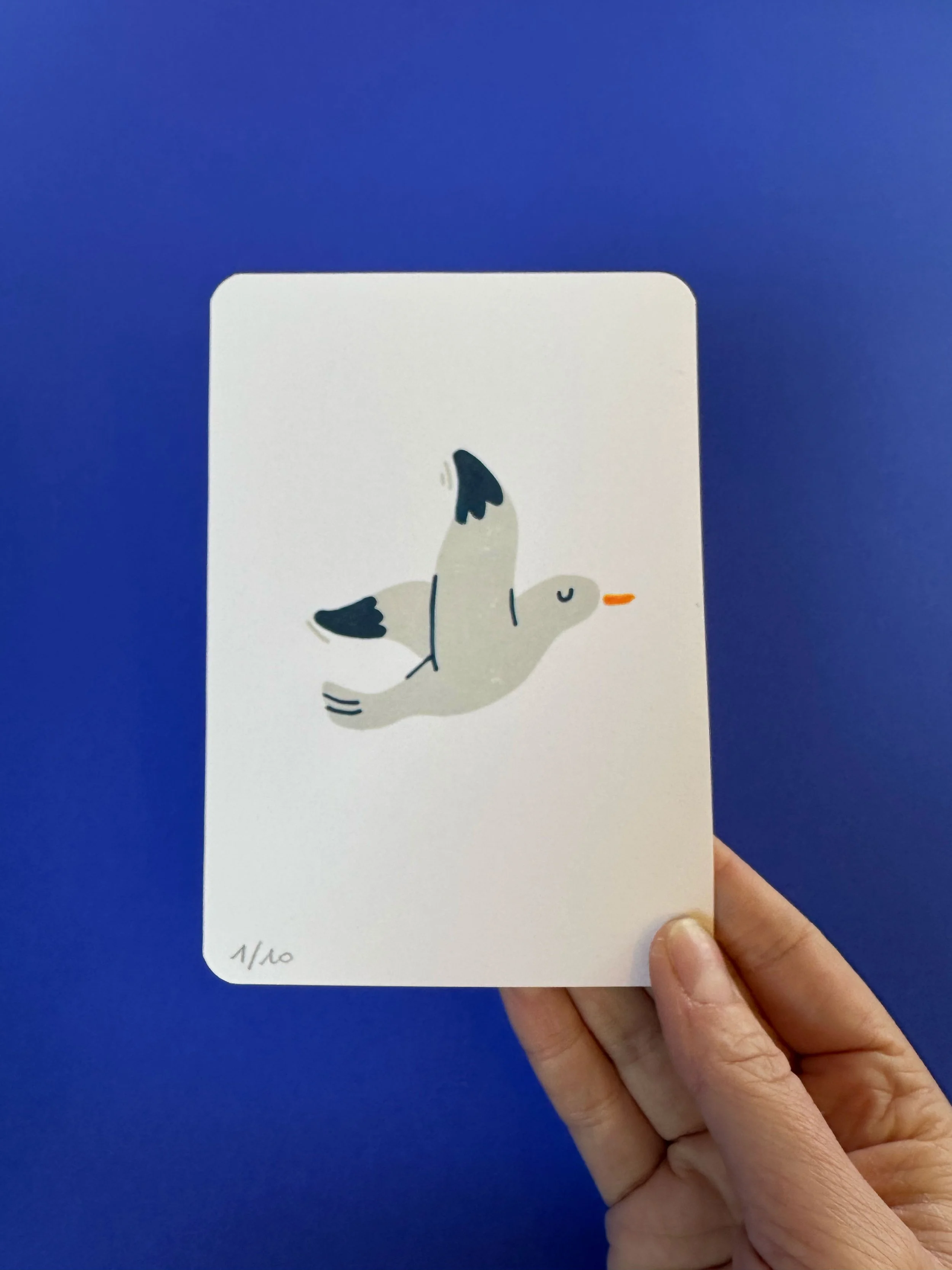 carte-postale-oiseau4.jpg