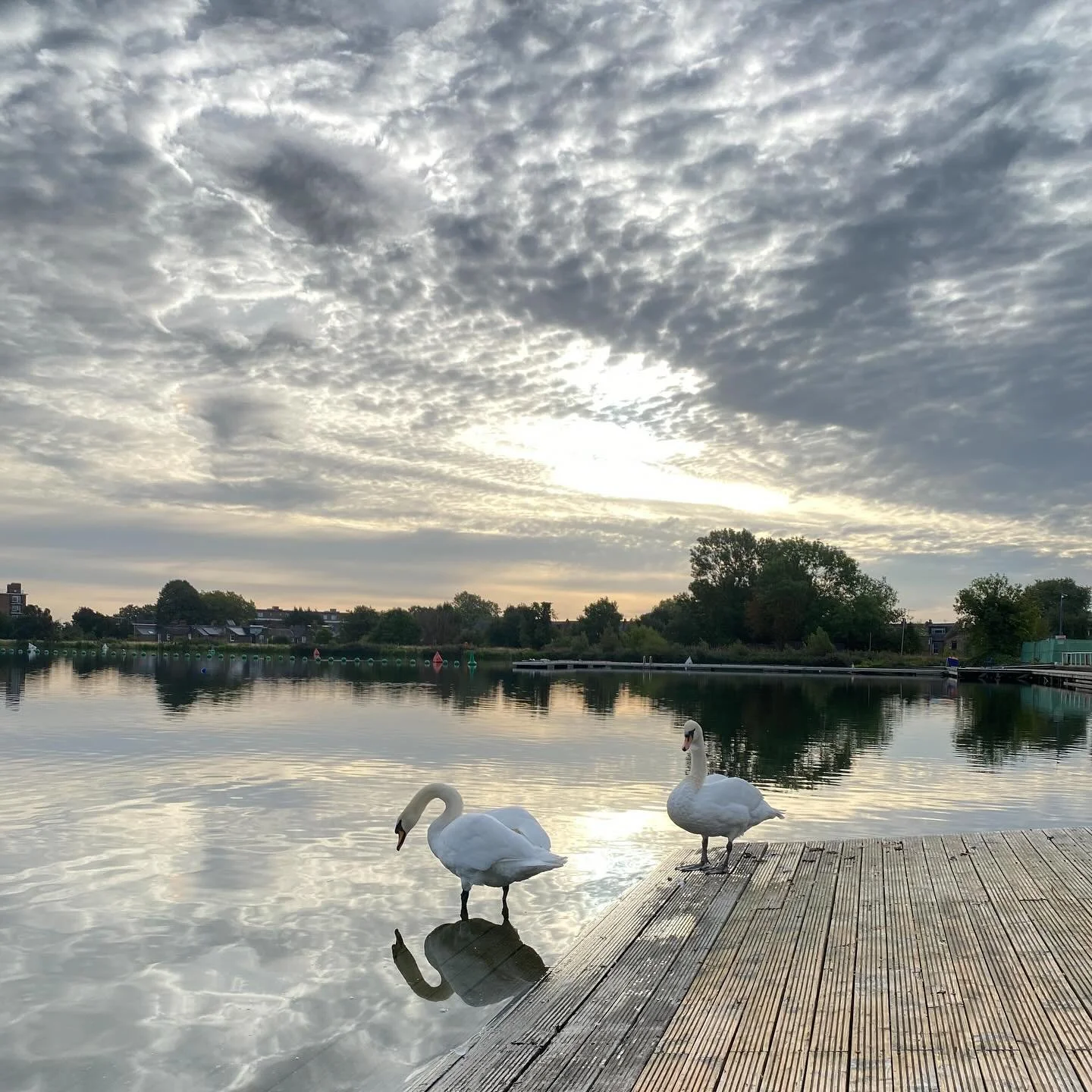 🩵🍂 AUTUMNAL CALM 🍂🩵

The light softens, the air feels crisp, and nature gently reminds us of the beauty in slowing down.

Watching the sunrise over the reservoir, swans gliding across the still water, I&rsquo;m reminded that this season is about 