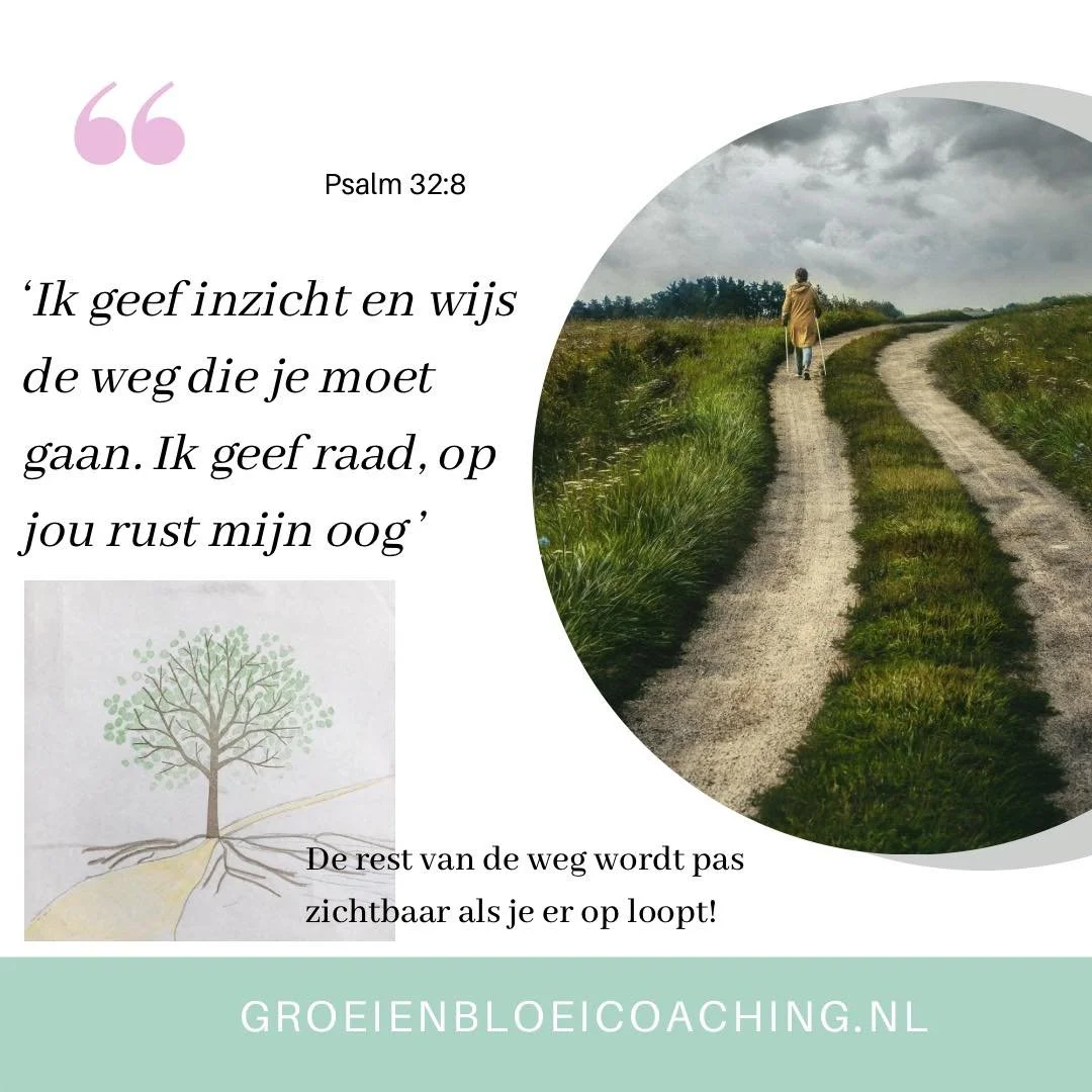 In vertrouwen je weg vervolgen
