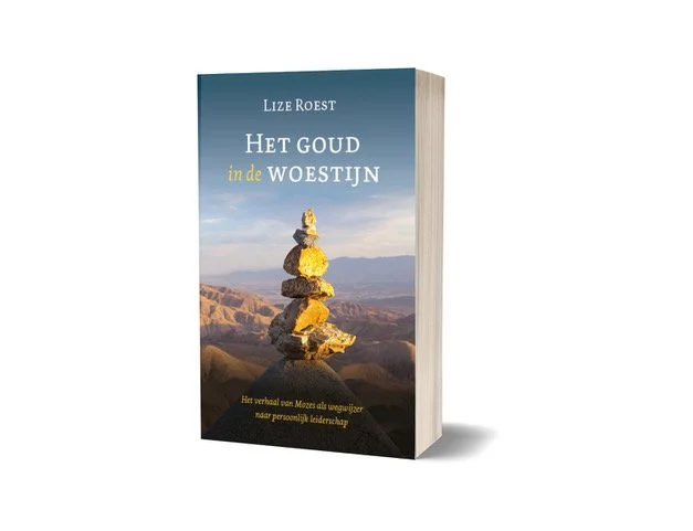 Een boek met de titel 'Het goed in de Woestijn' door Lize Roest, afgebeeld met een rots in de woestijn op de cover.