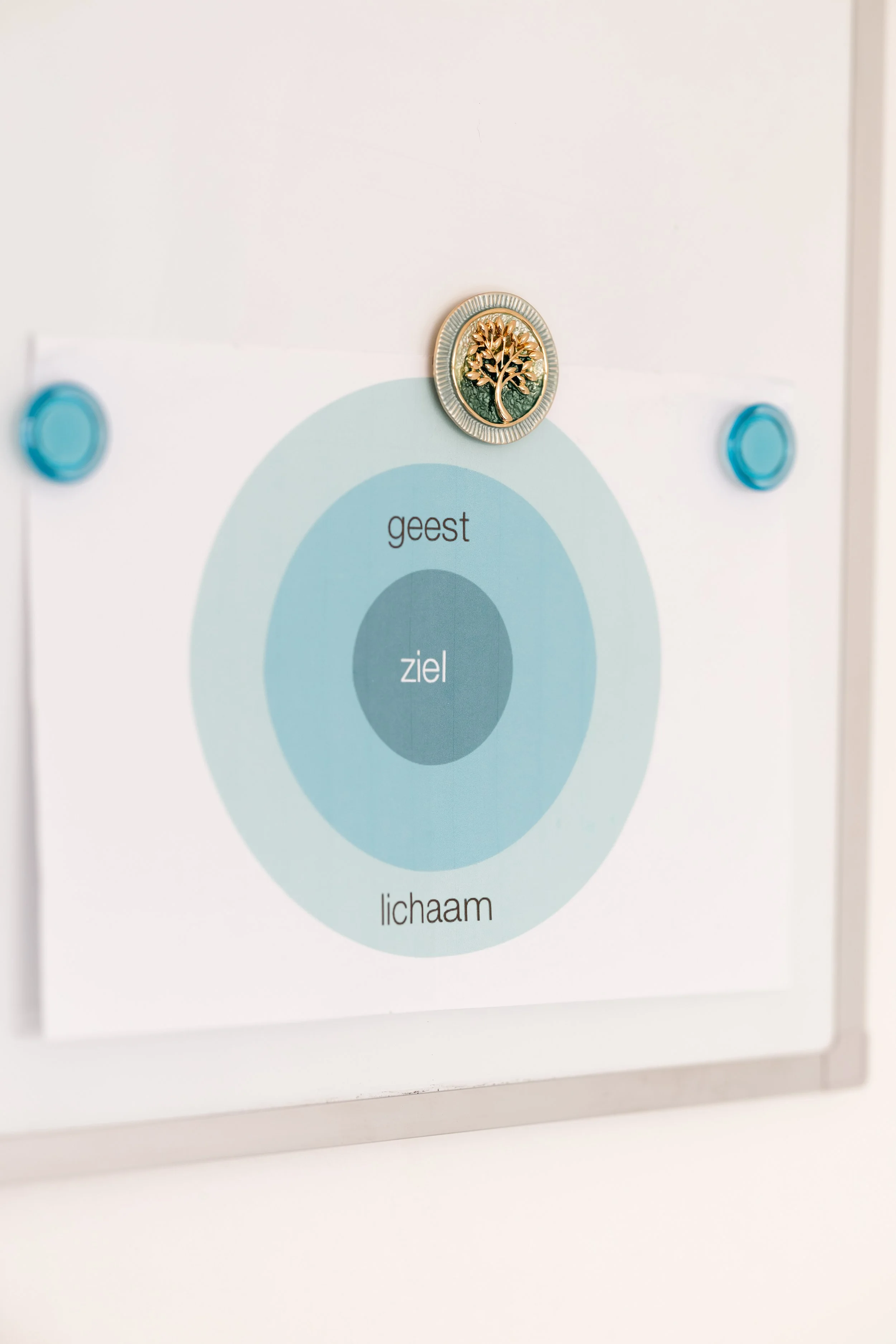 Ziel geest en lichaam. Corrie van Zwol coaching Groei & Bloei