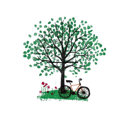 Een grote boom met groene bladeren, een kinderfiets en bloemen onder de boom.