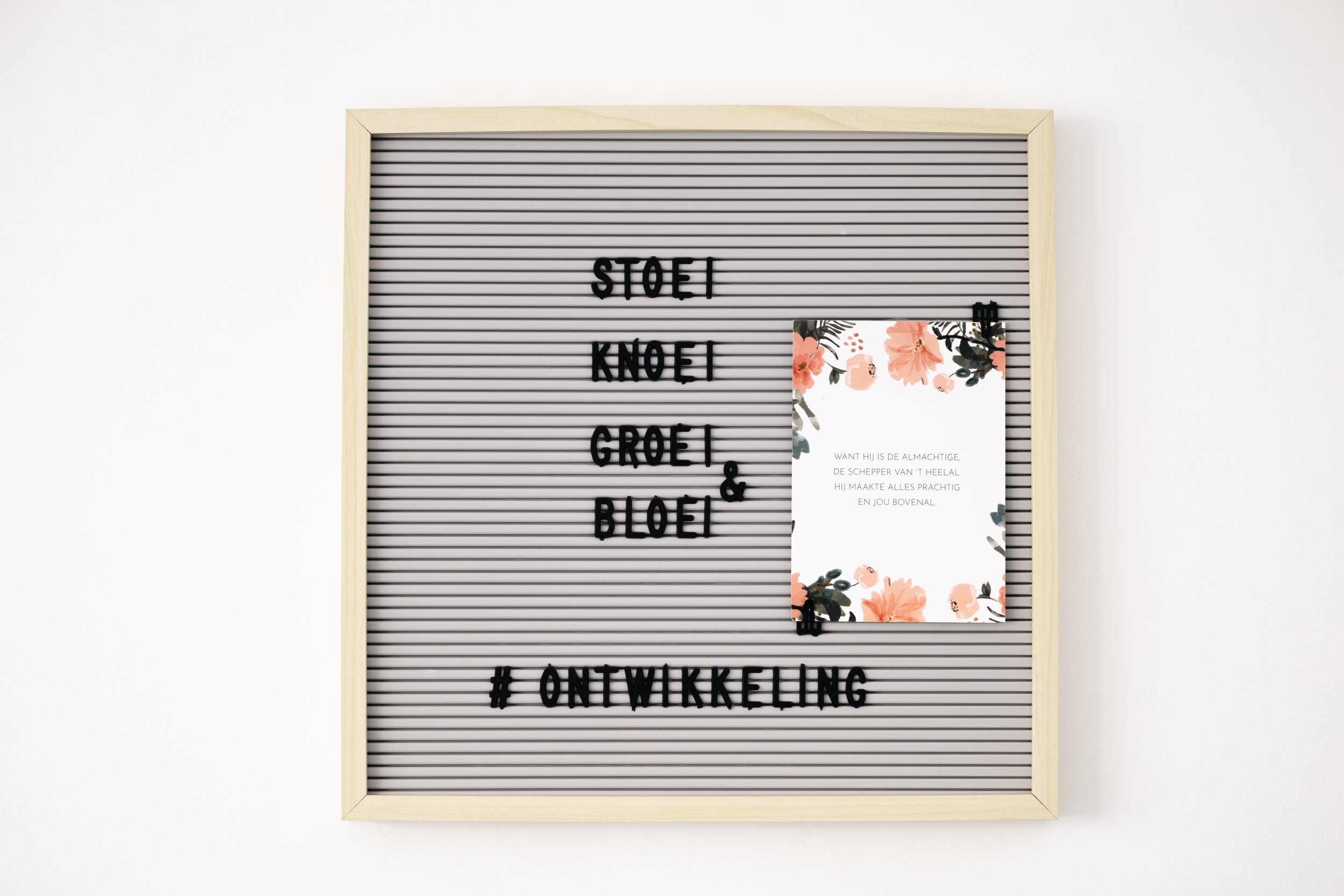 Wandbord met zwarte tekst met woorden over ontwikkeling en een kaart met bloemen en een verhaaltekst. Stoei, knoei, groei & bloei.