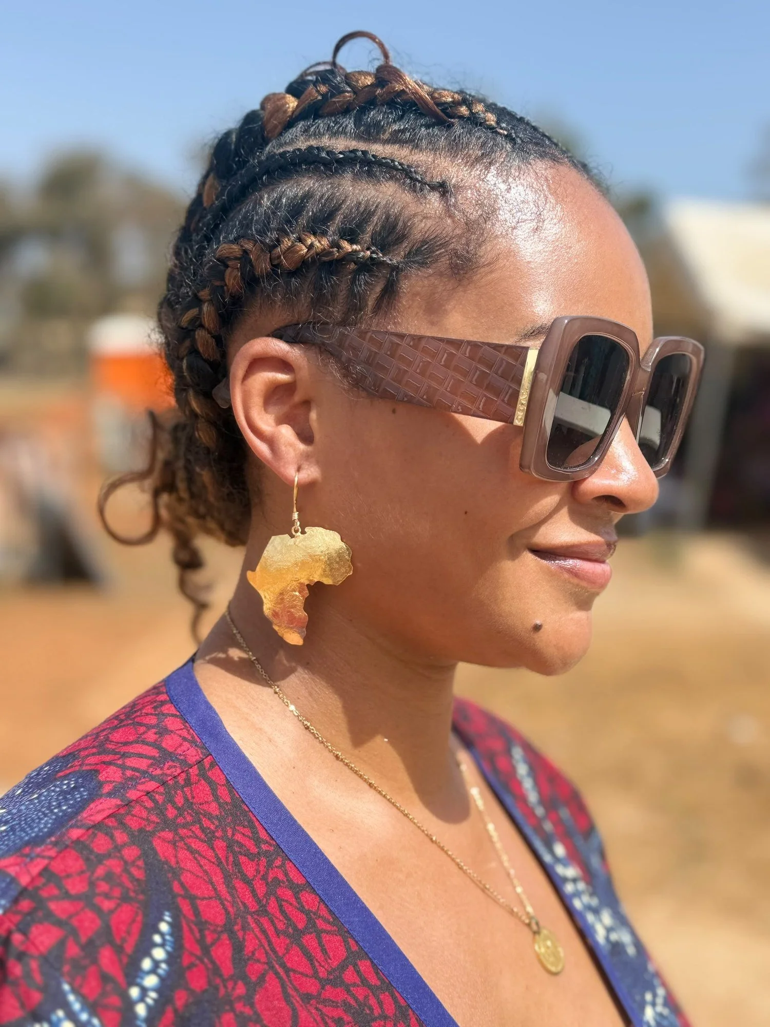 Africa Map Earrings