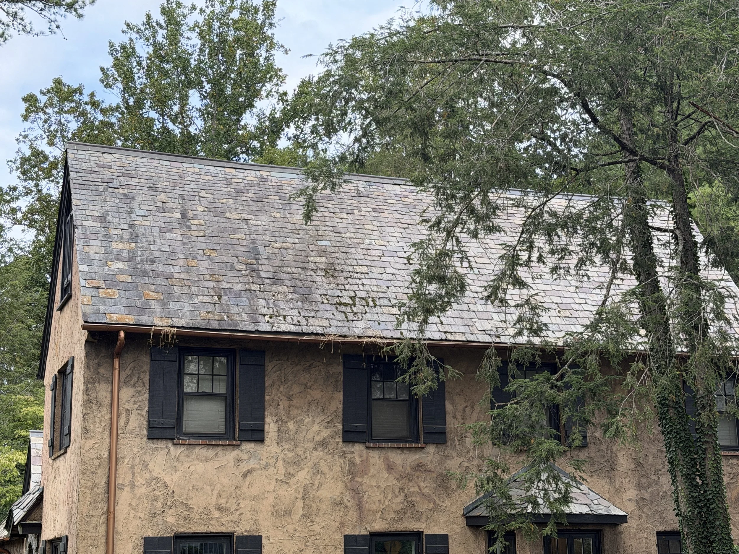 Old roof suffering from moss and algae growth.