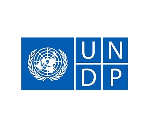 UNDP.webp
