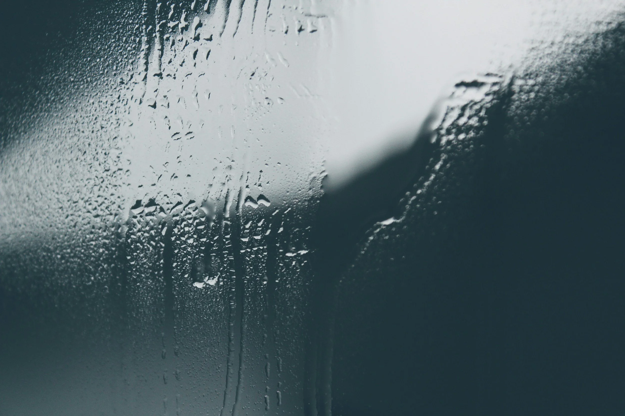 unsplash-image-y52E7vih-go.jpg