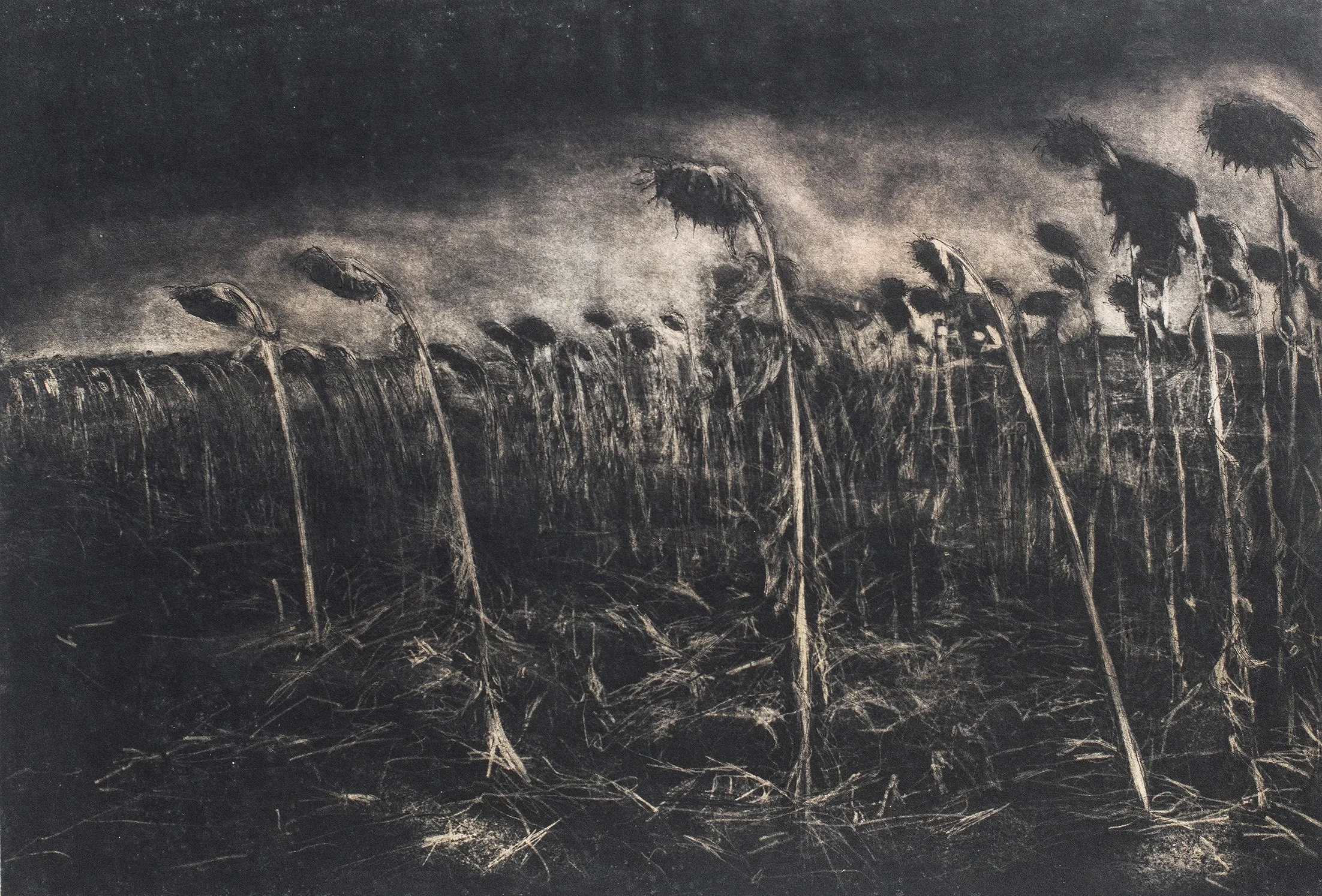 Mourners for Bev , 1997, Aquatint mezzotint