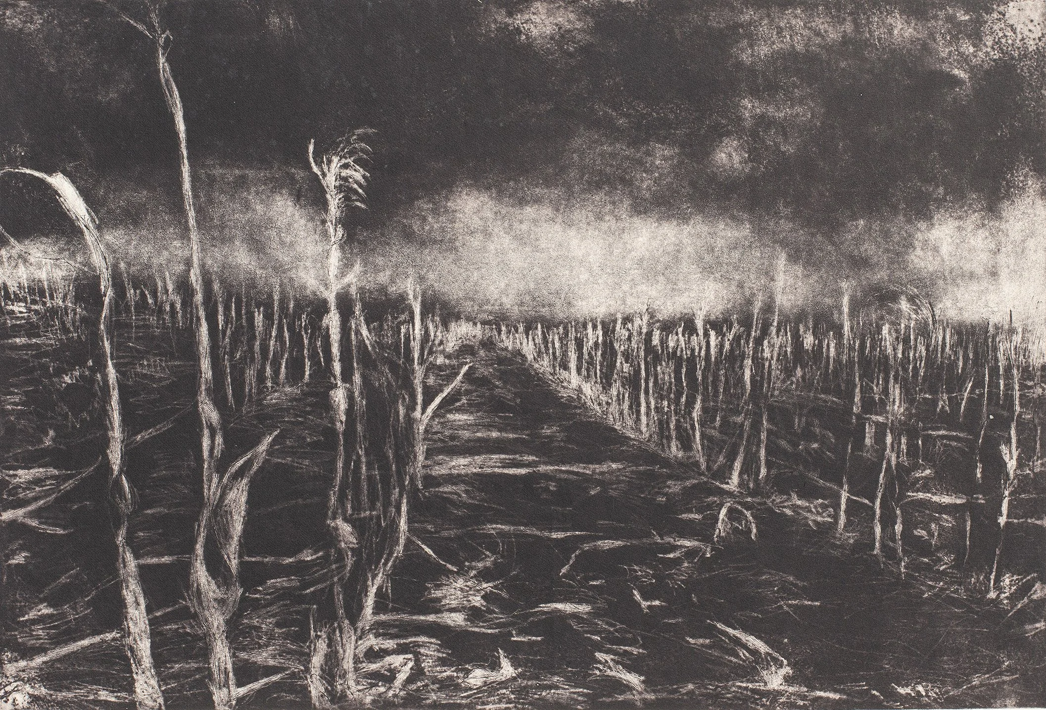 Land and Bones , 1999, Aquatint mezzotint