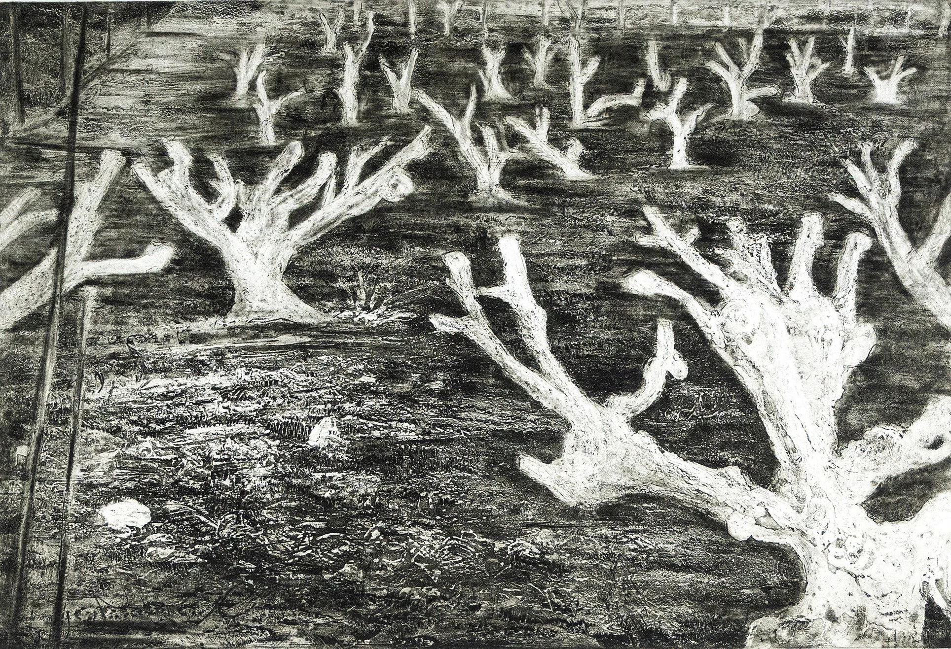 Alien Landscape II , White River, 2008, Etching