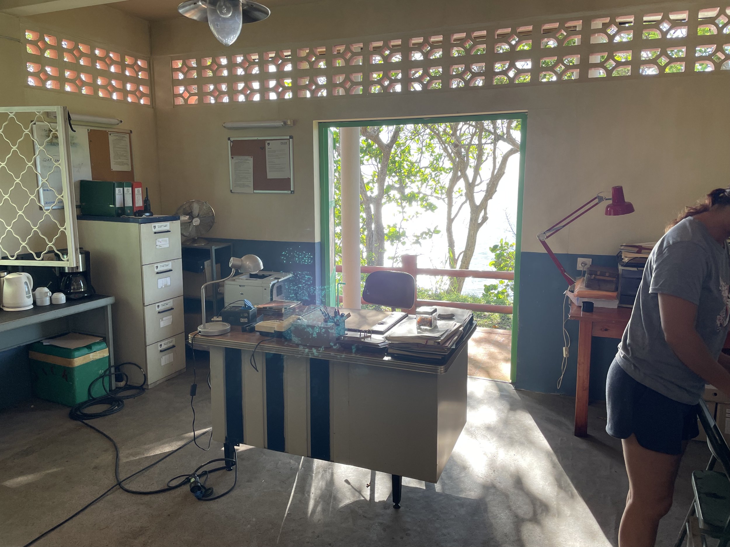 Office room with desk, filing cabinets, shelves, kitchen appliances, and a woman working near a window with trees outside.