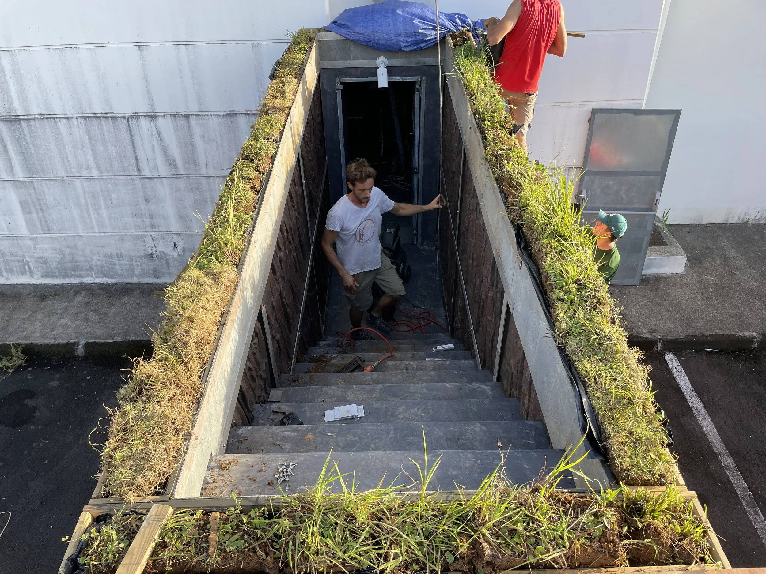 Three people working on a rooftop garden with stairs leading down, surrounded by green plants, and a parking lot below.