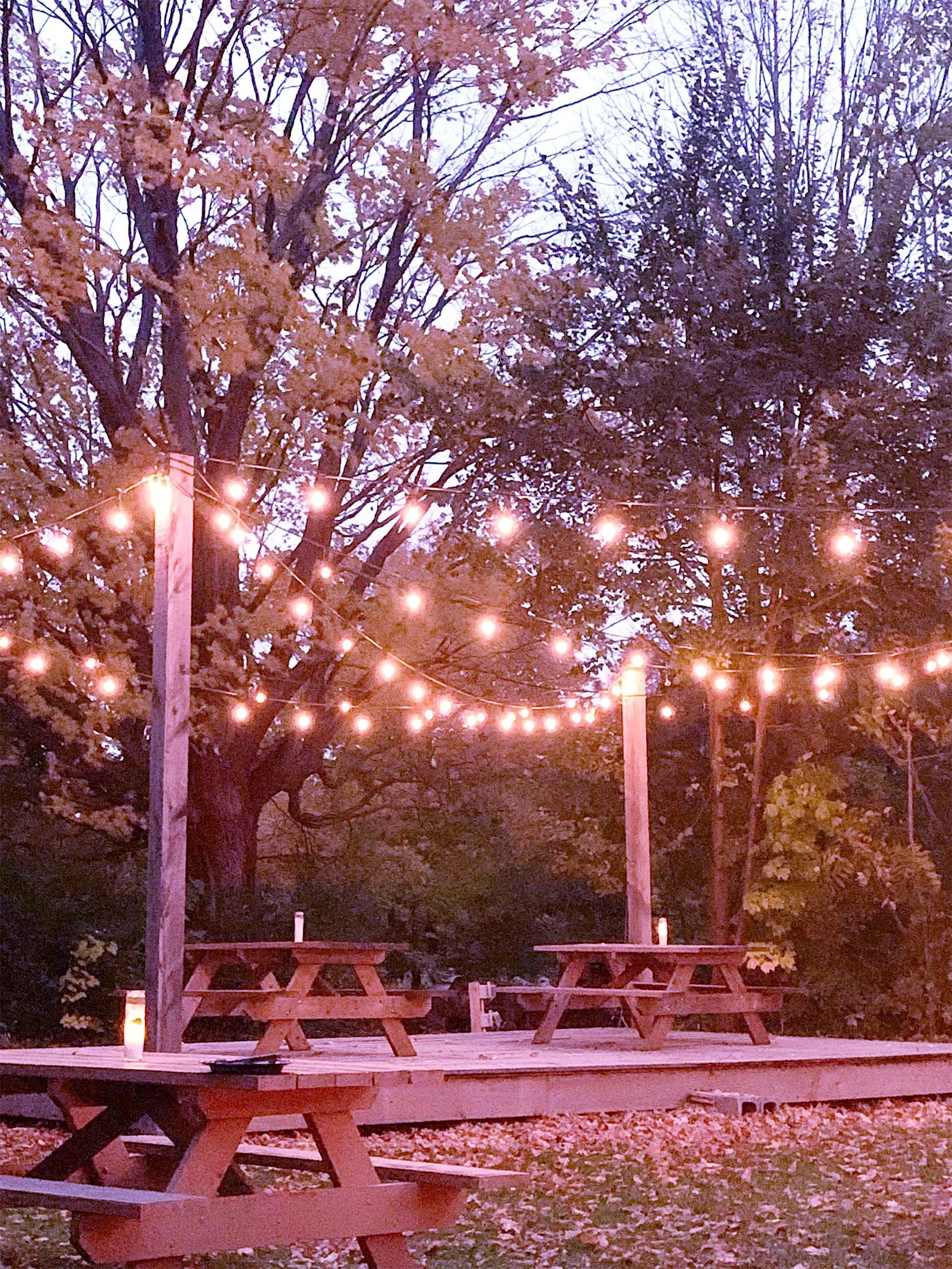 rural-outdoor-dining-string-lights.jpg