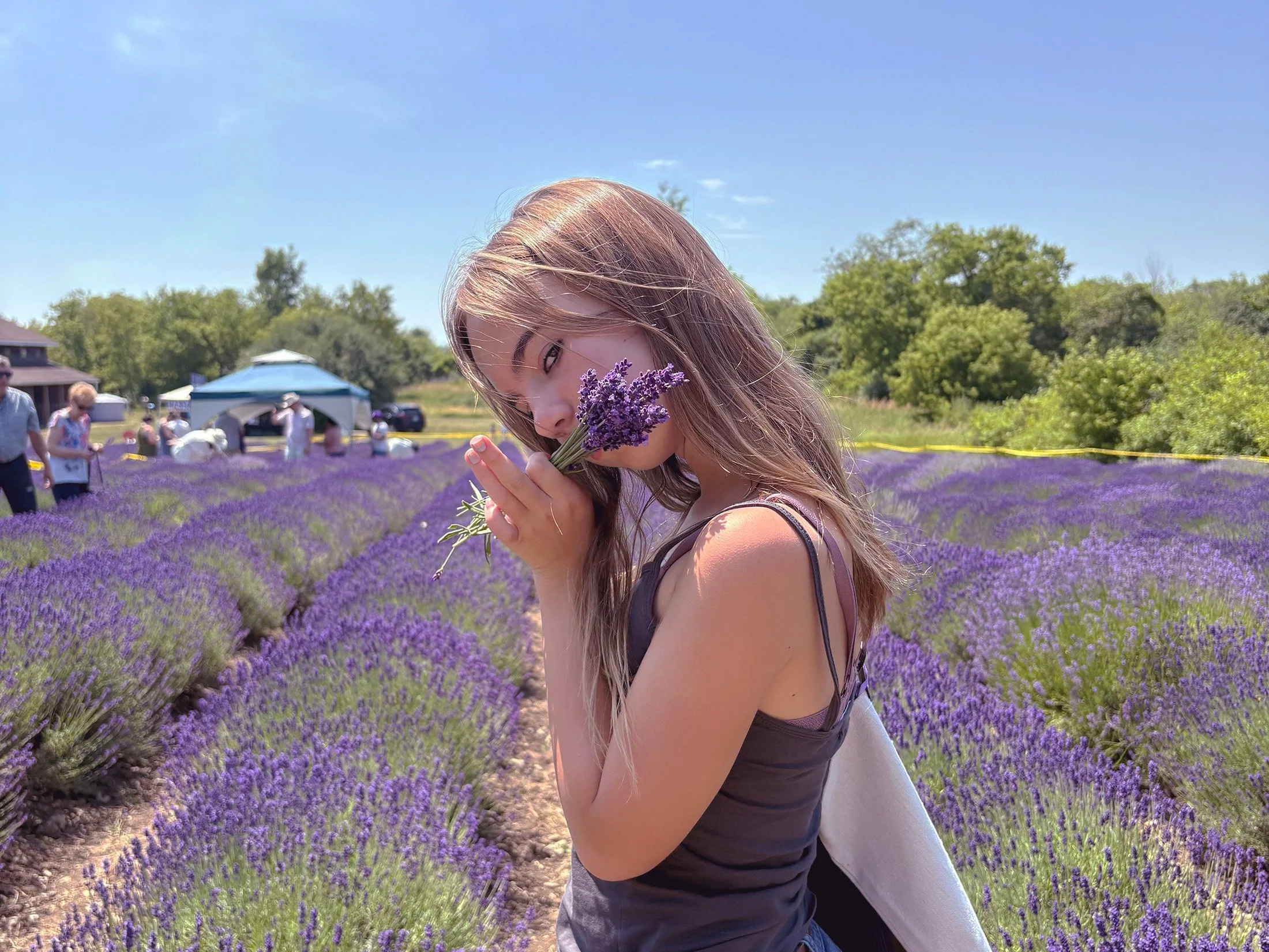 rural-lavender-fields-girl-pec.jpg