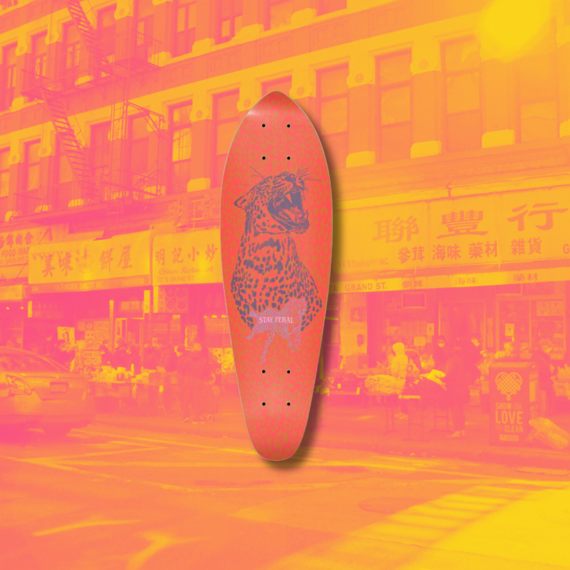 stay-feral-mini-cruisers-skateboards-leopard-print-coral.png