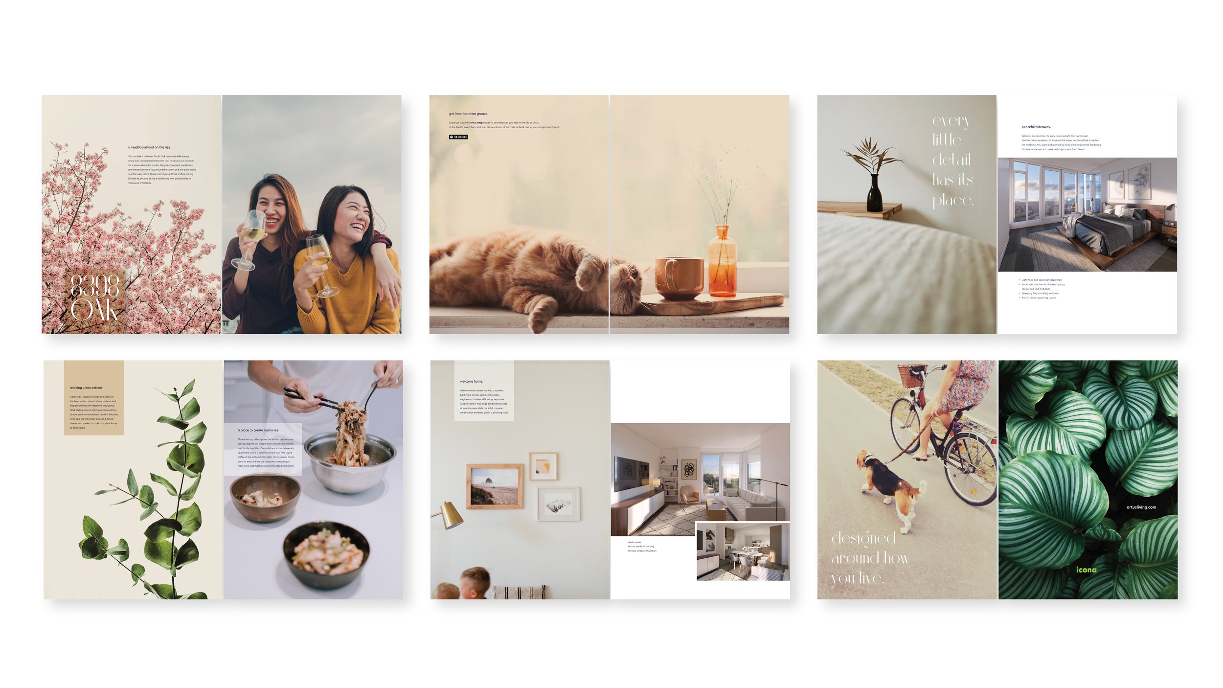 Ortus_portfolio-02.jpg