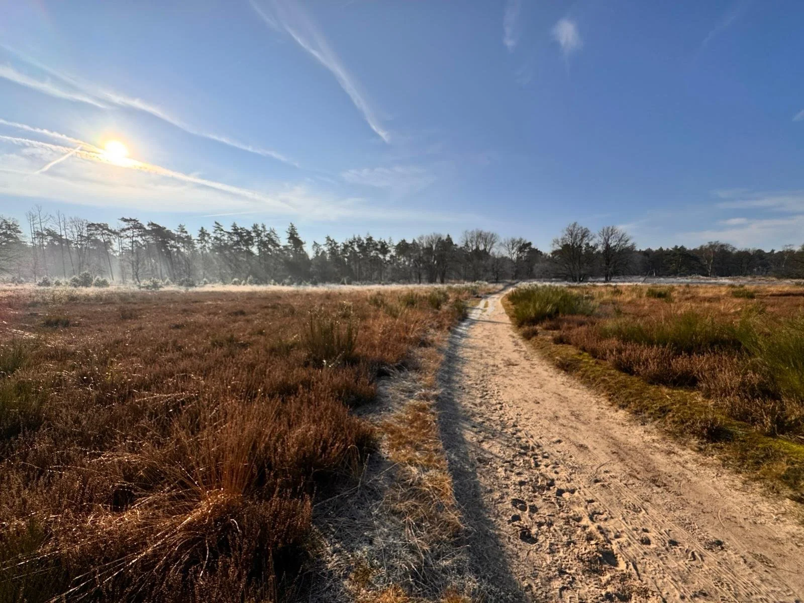 Natuurbeeld bij Rooted & Rise in Linne
