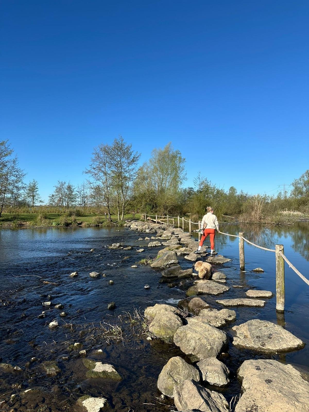 Britt Jochems Holistische therapie Rooted & Rise Linne Limburg online ook mogelijk