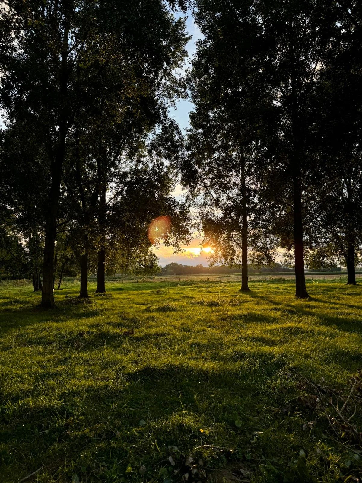 Holistische begeleiding met aandacht voor lichaam, geest, voeding en leefstijl
