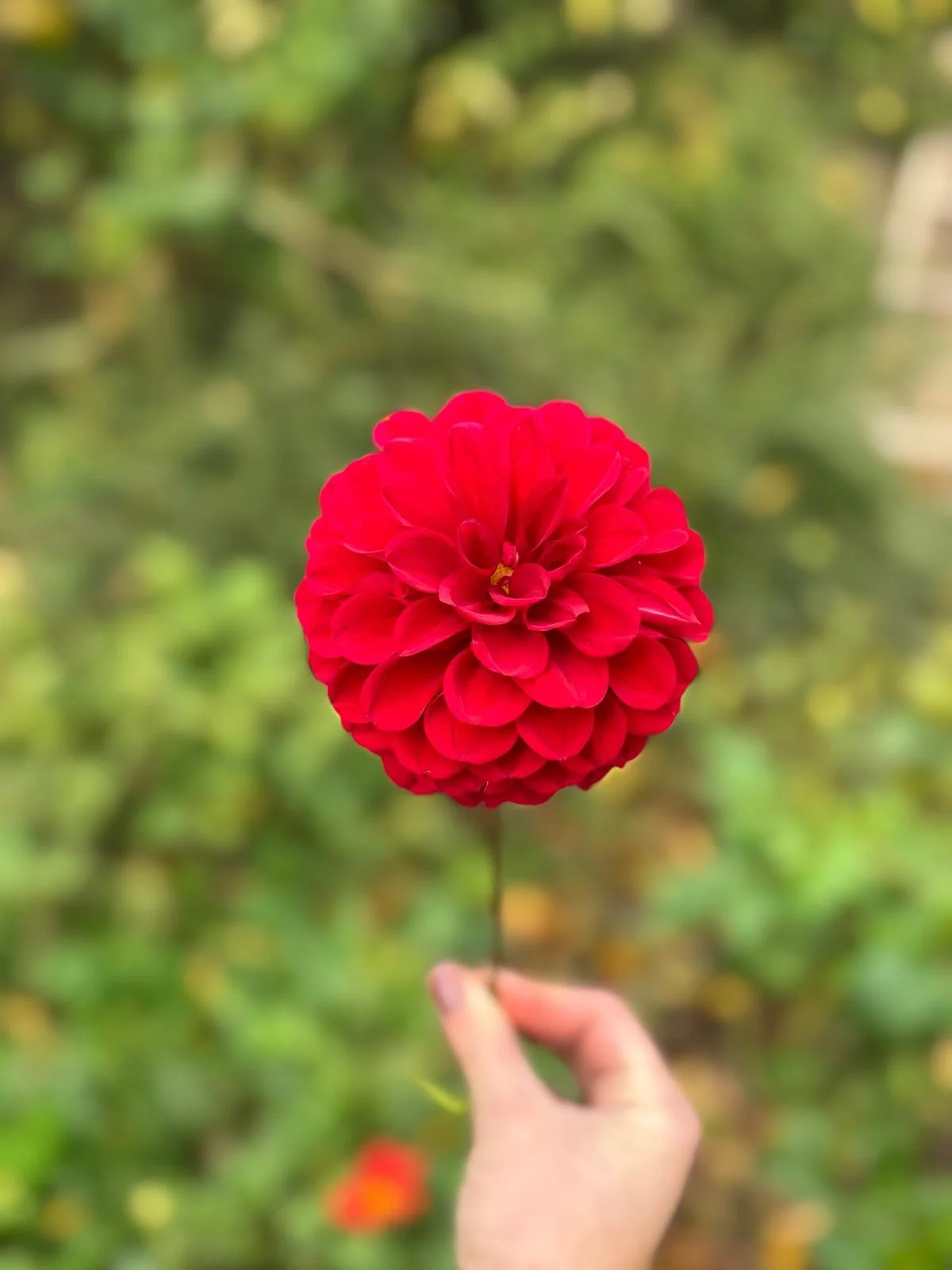 Ontspanningsmassage gericht op rust, ontspanning en herstel