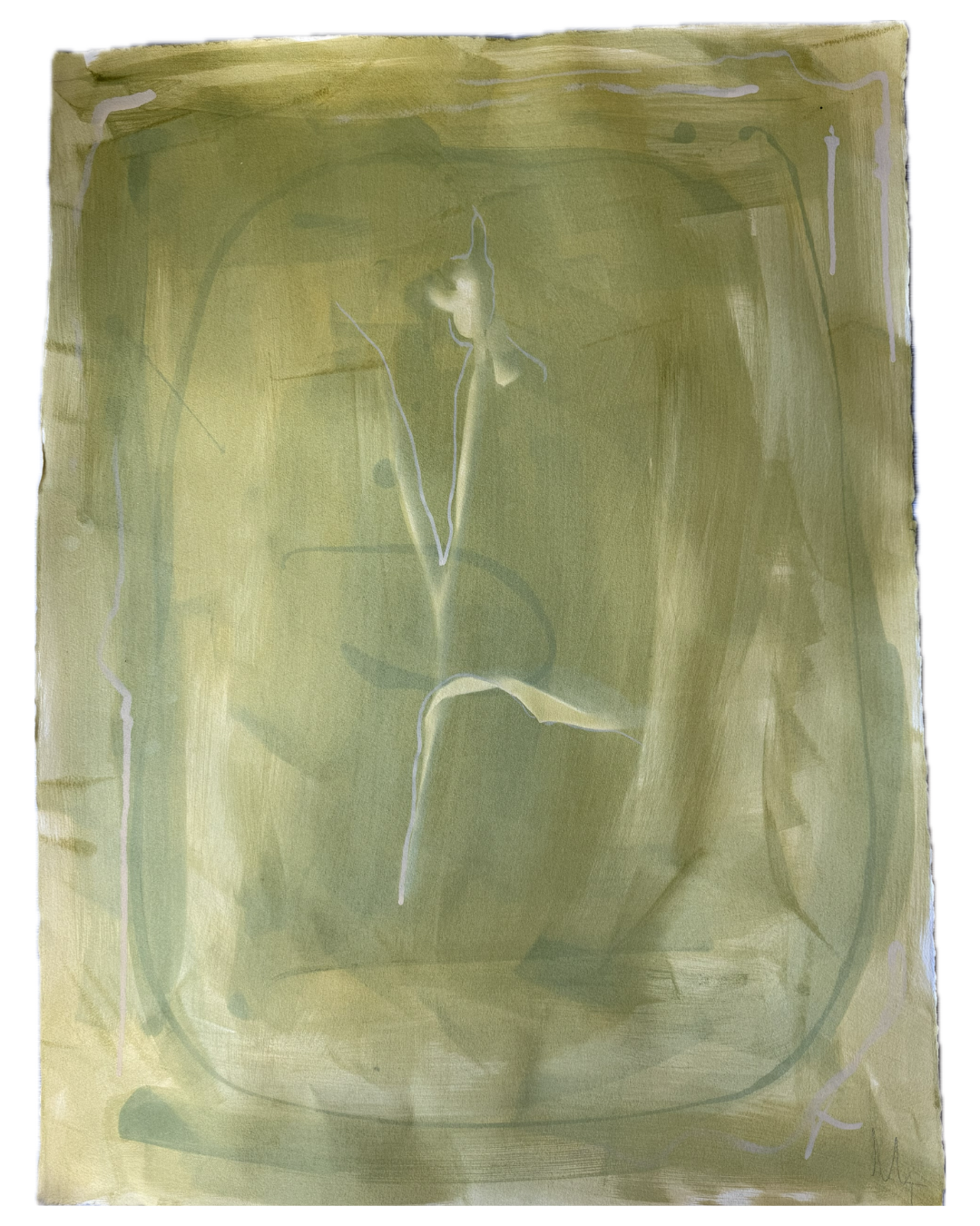 Tulip III, 22 x 30, photogram, gouache and oil stick on paper