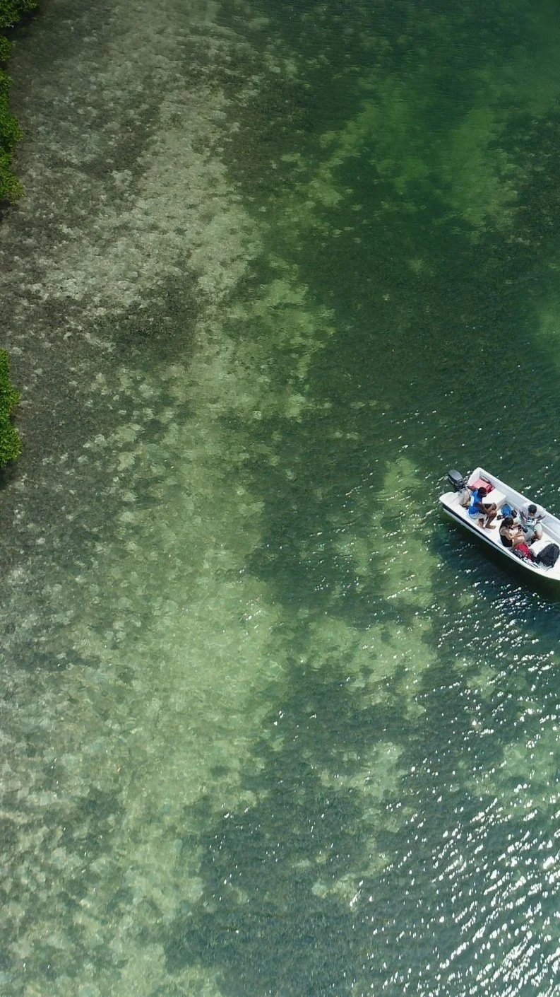 02_aerial-boat-reef-east-end-roatan.jpg