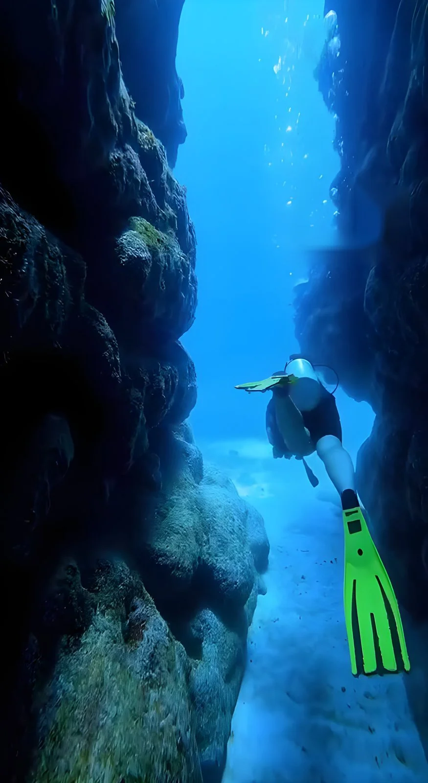02_reef-canyon-dive-roatan.jpg