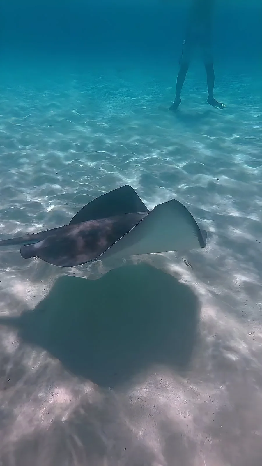 Snorkeling