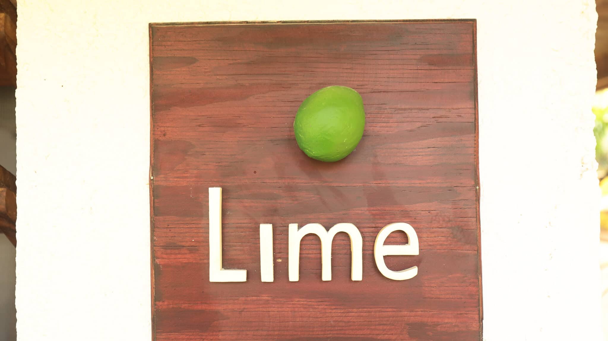 Lime-Tree-09-1.jpg