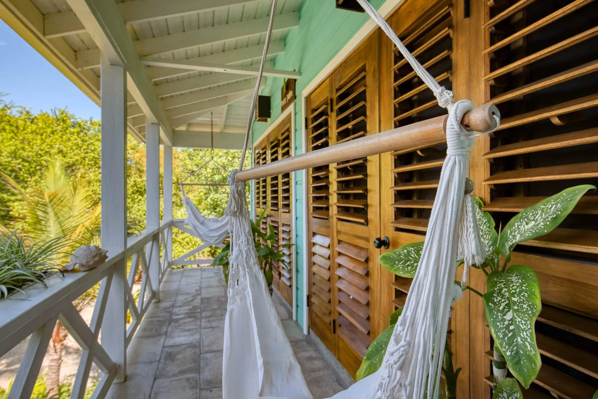 Noni Tree — Camp Bay Lodge