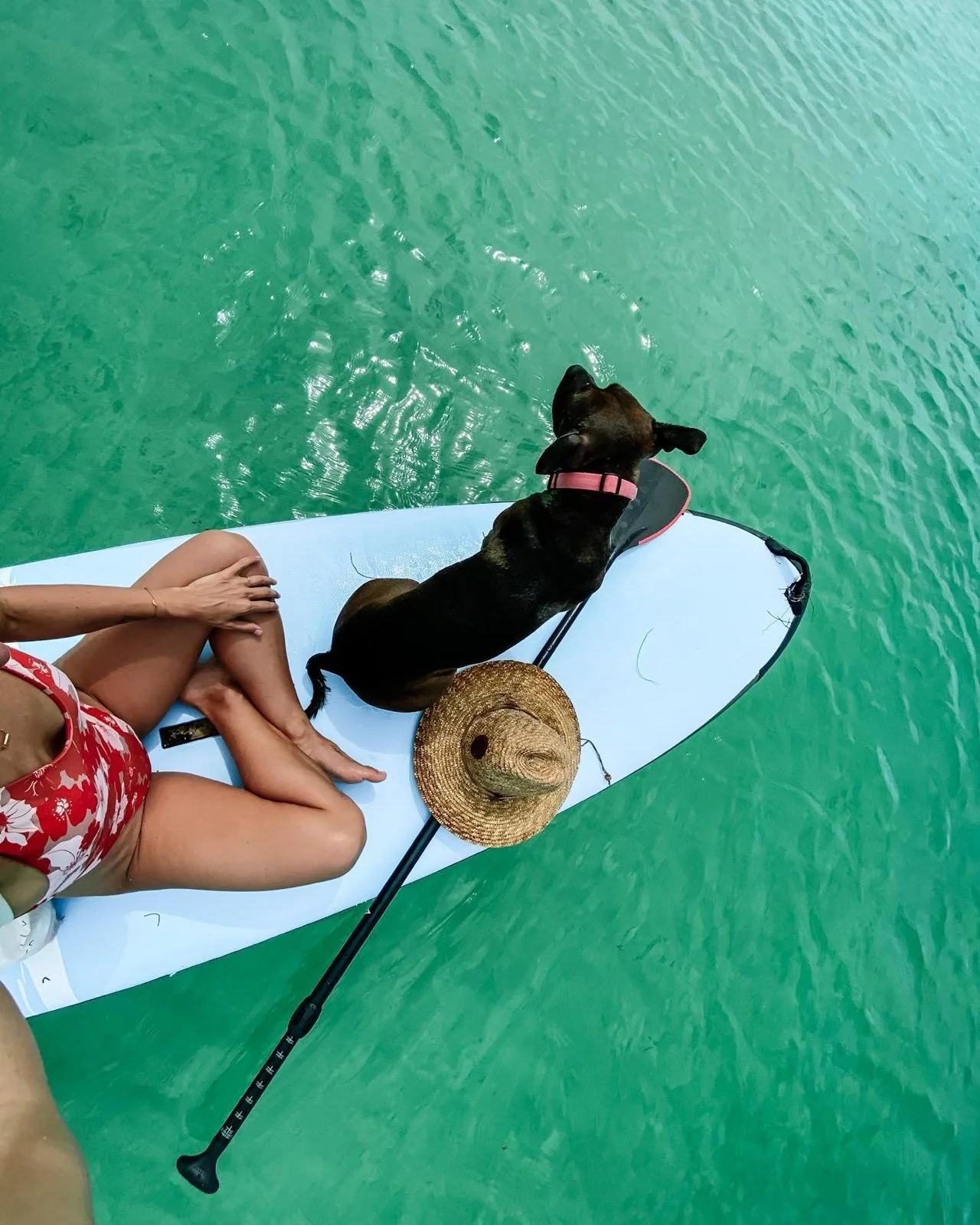 03_paddle-board-with-dog-roatan.jpg