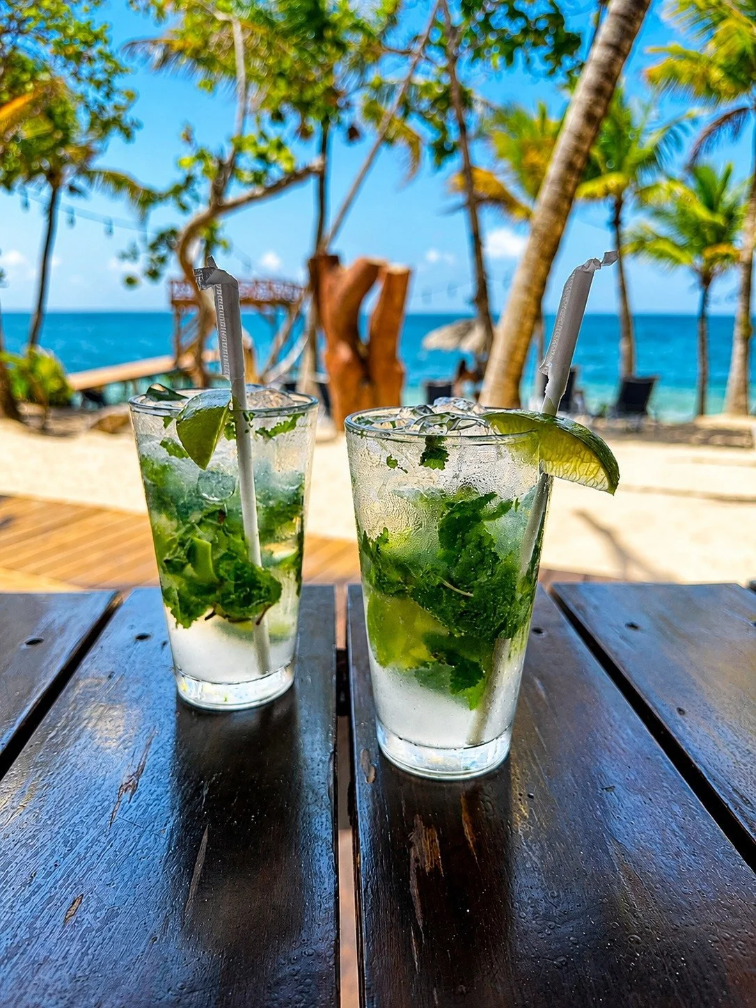 07_mojitos-by-the-sea-camp-bay-roatan.jpg