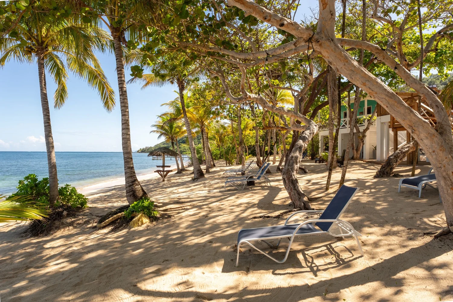 The beach under the palms at Camp Bay Lodge, Roatán