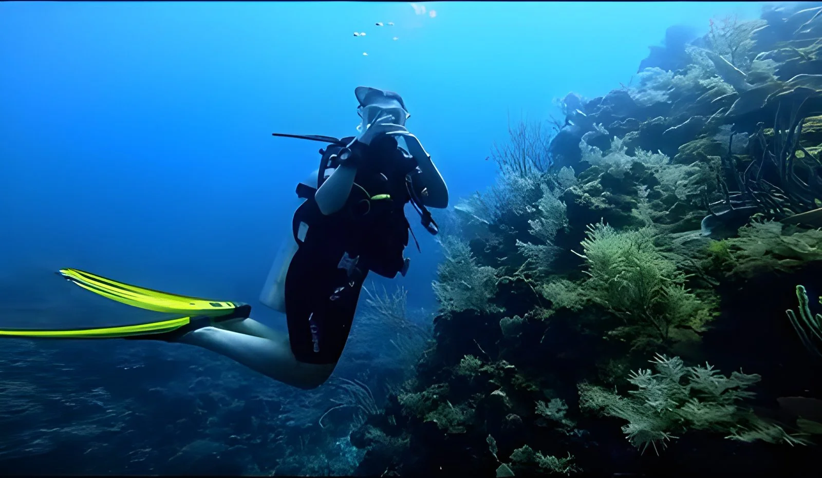 01_scuba-diving-east-end-roatan.jpg