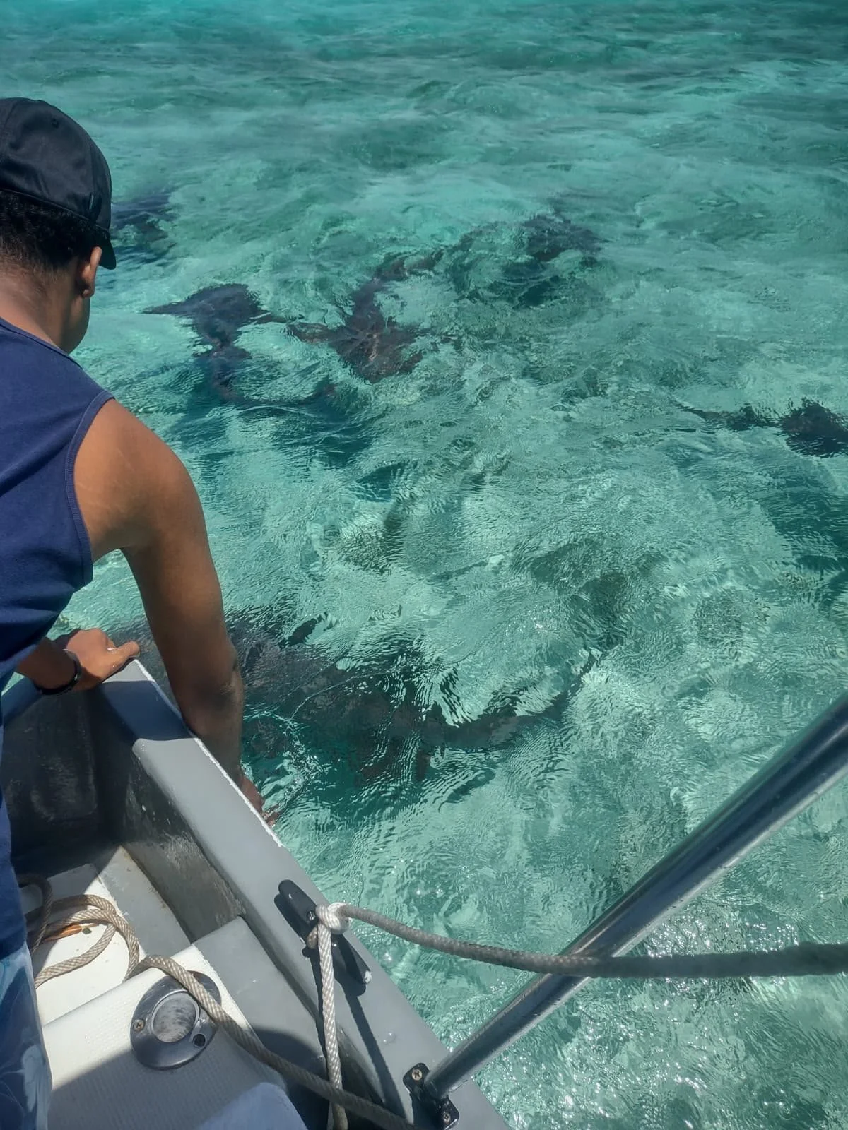 03_nurse-sharks-from-the-boat-roatan.jpg