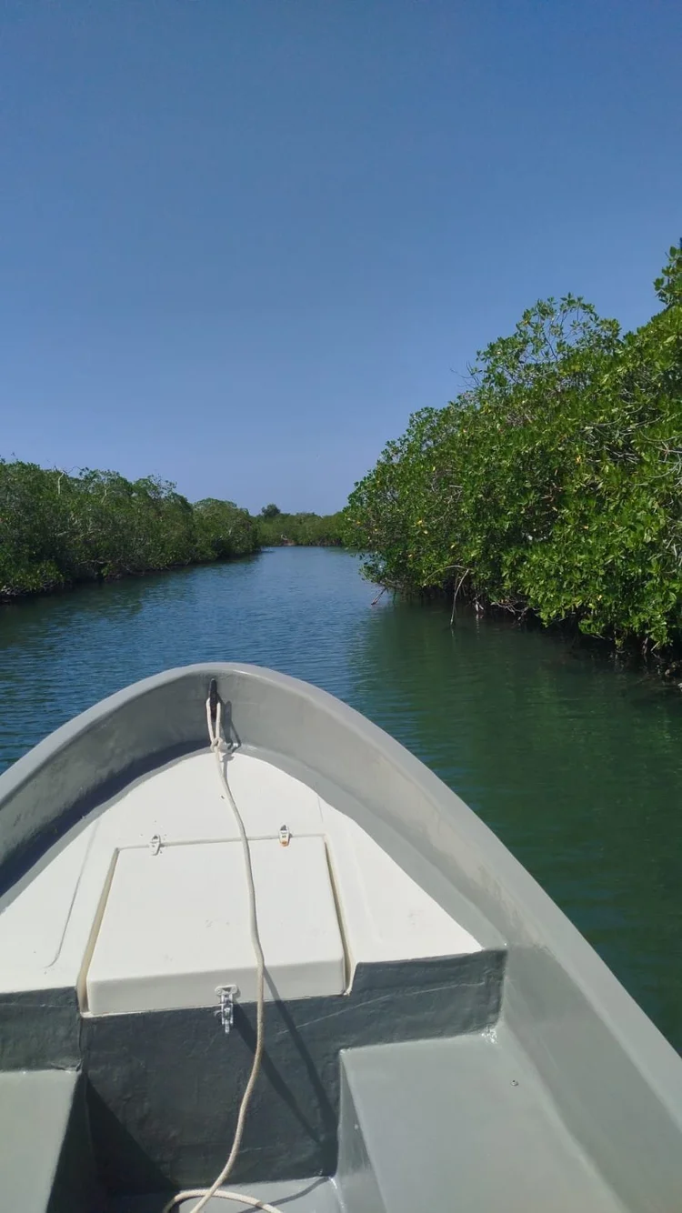 Mangrove tour at Camp Bay Lodge, Roatan