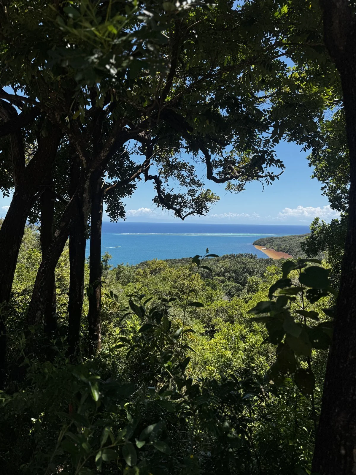 07_forest-view-east-end-roatan.jpg