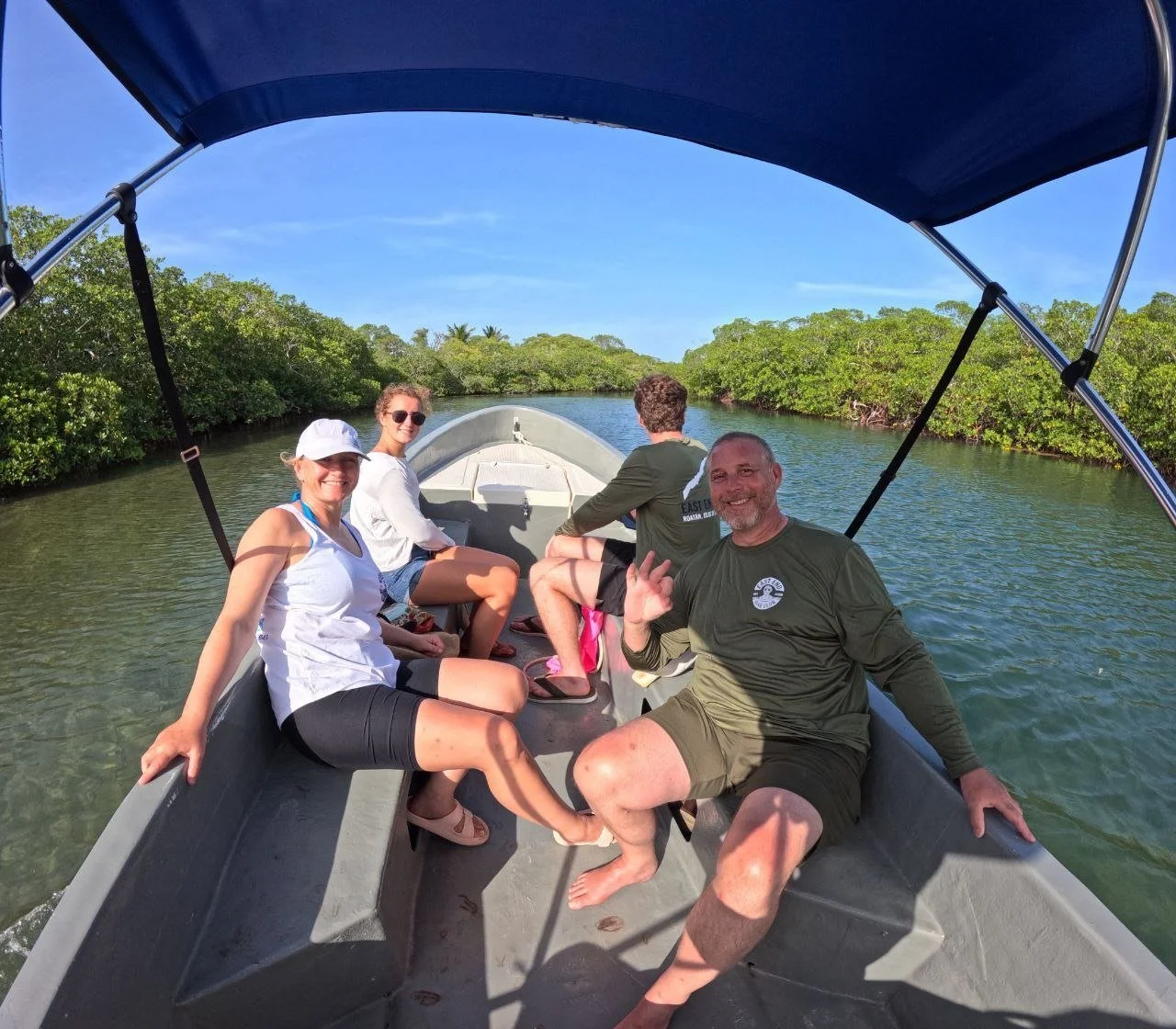 Mangroves